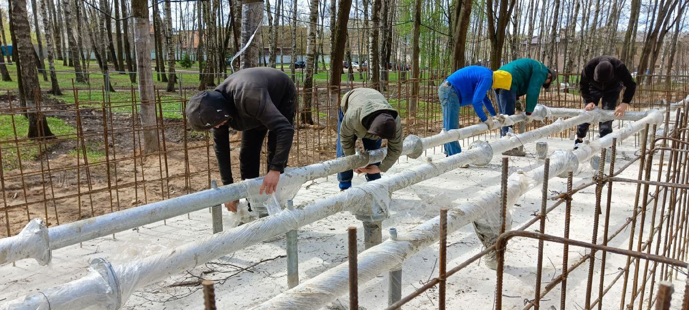 Дмитров, Парк Березовая роща, Минблаго,