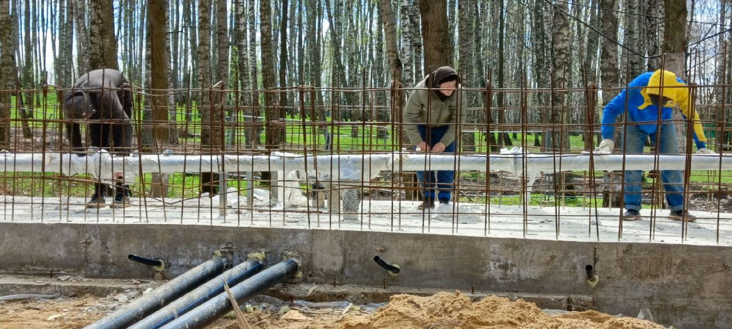 Дмитров, Парк Березовая роща, Минблаго,