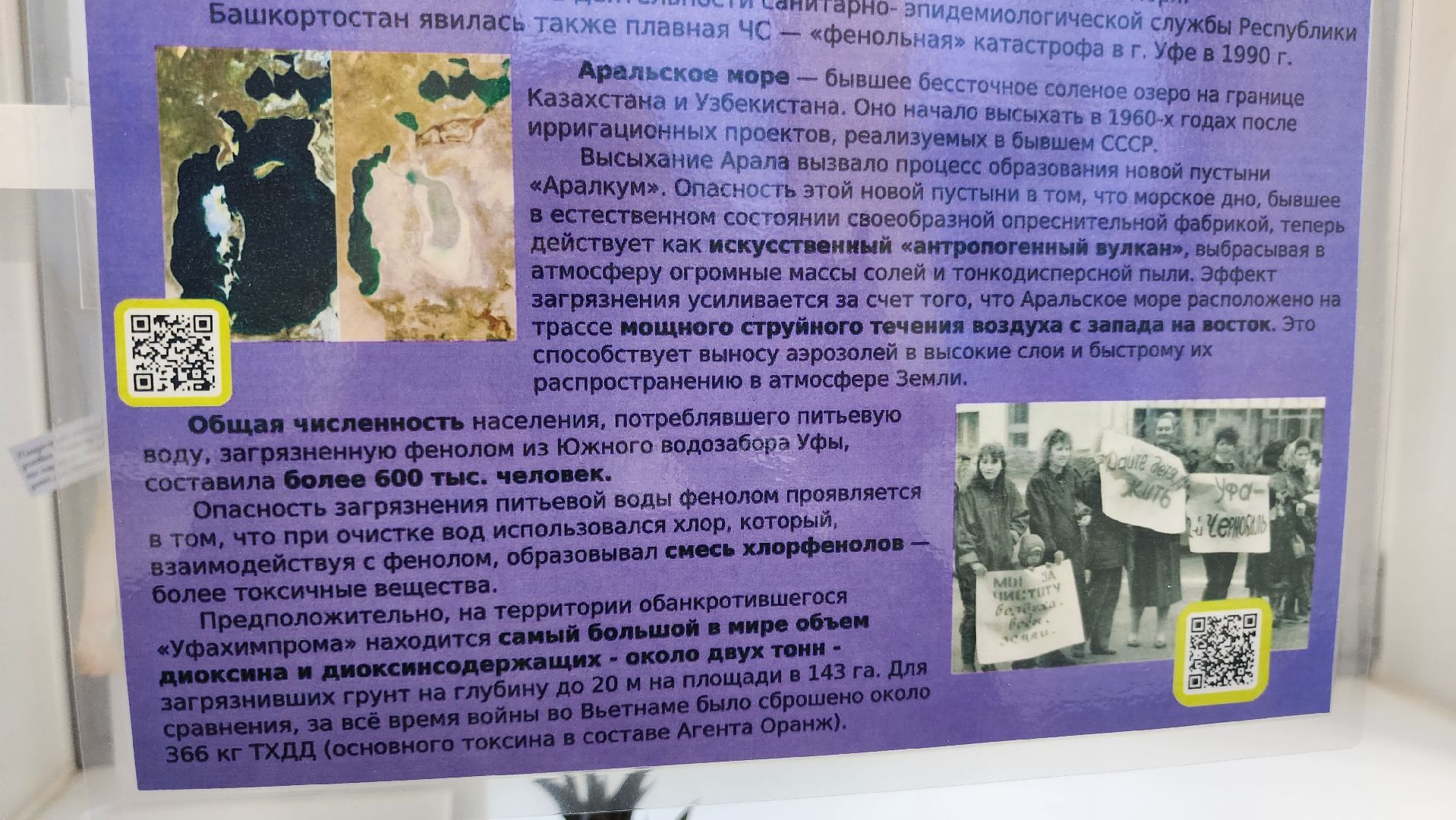 долгопрудный, мфти, Физтех сад, растения, ботаника, теплица, экология,