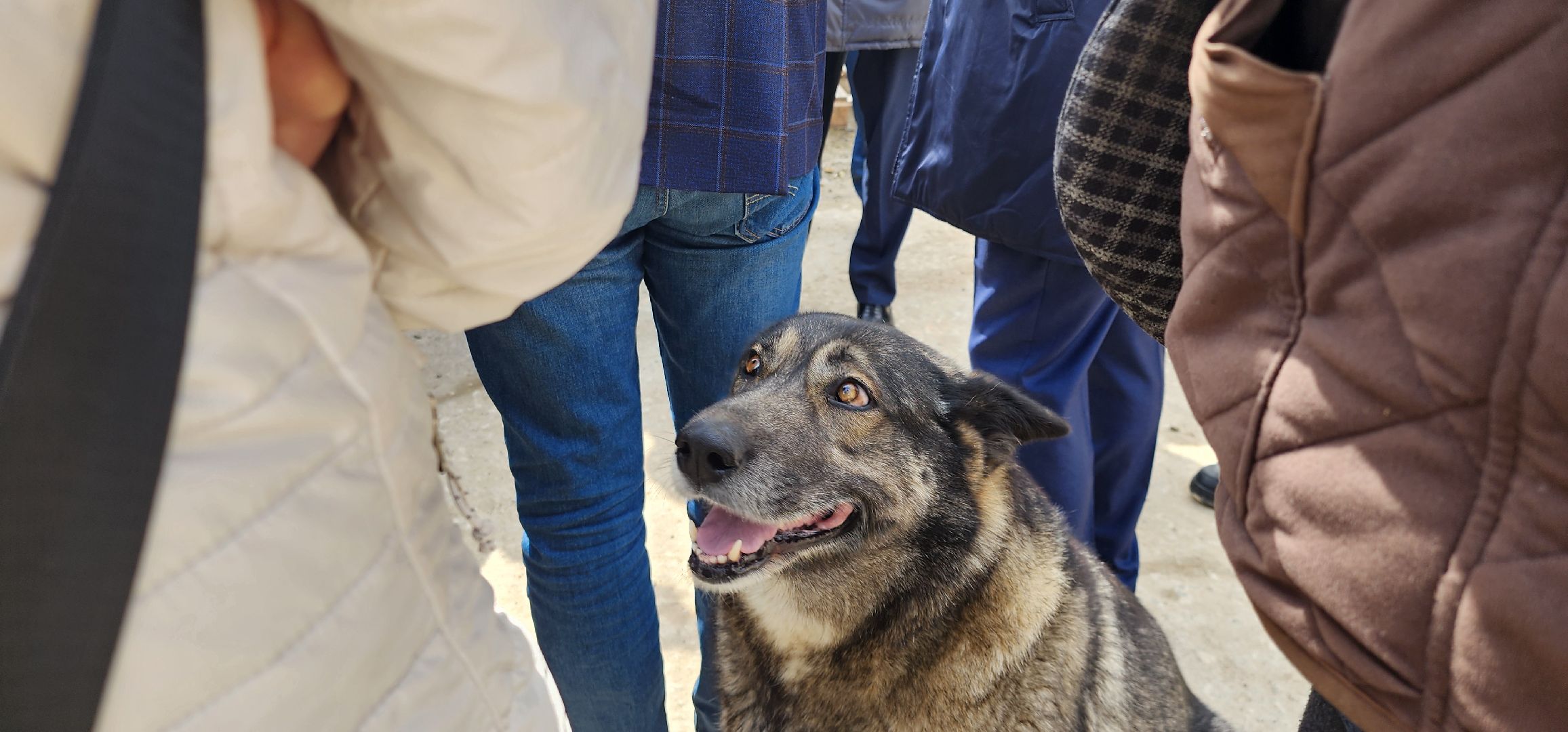 Ледово, долгострой, Домодедово,