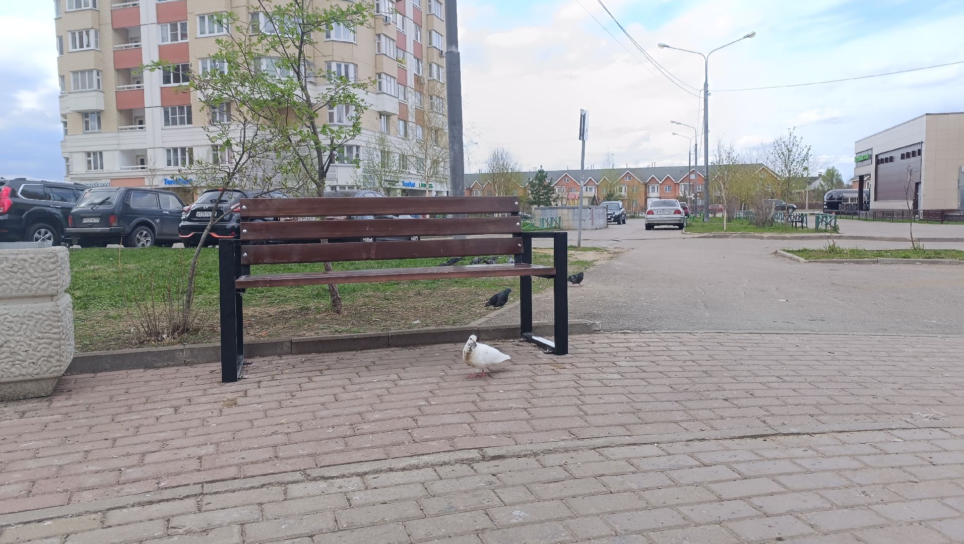 скамейки, сквер, лобня,