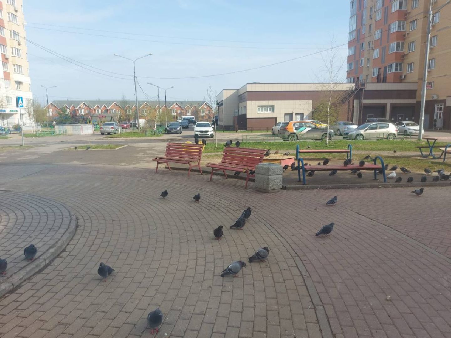 скамейки, сквер, лобня,