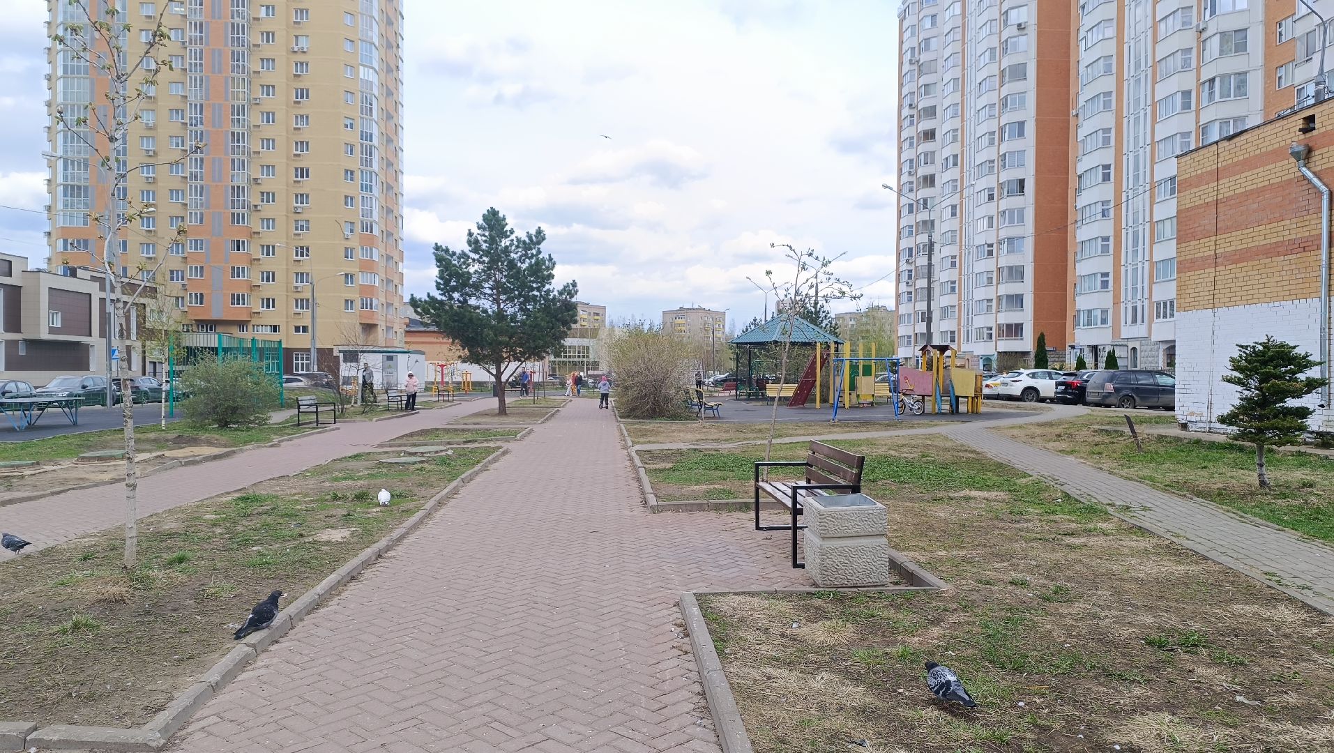 скамейки, сквер, лобня,