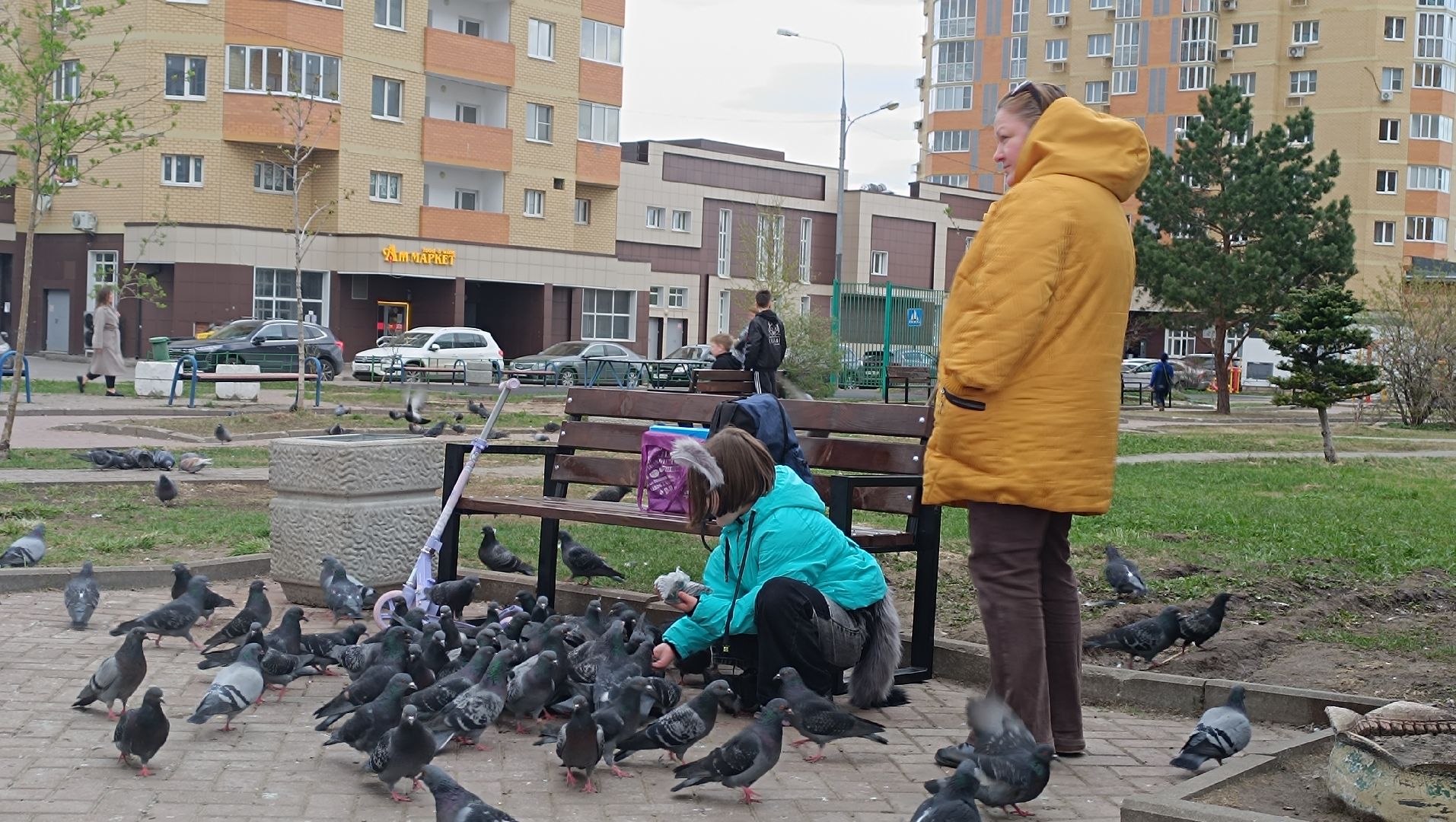 скамейки, сквер, лобня,