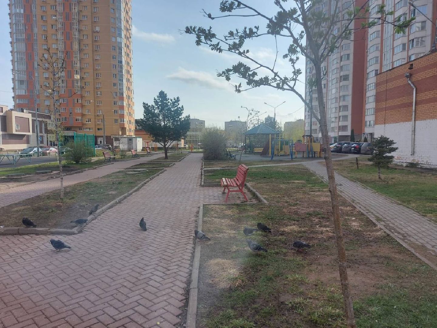 скамейки, сквер, лобня,