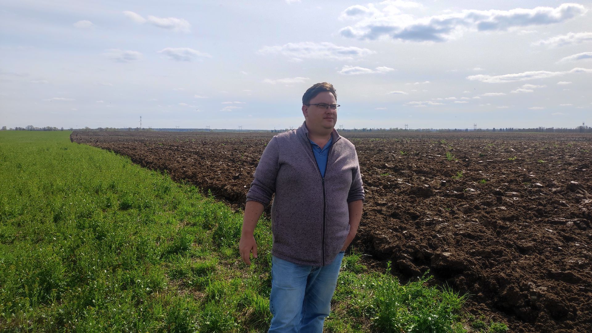 волоколамск, сельское хозяйство, молочный комплекс, животноводство, рапс, кукуруза, пшеница, рожь, молоко,