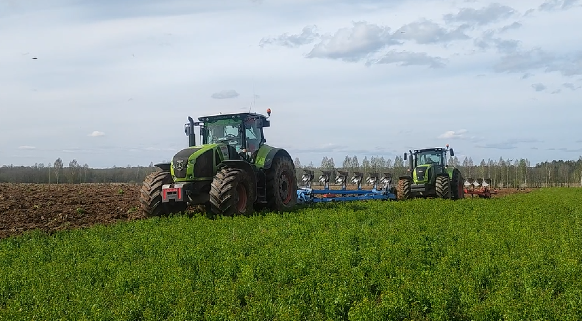 волоколамск, сельское хозяйство, молочный комплекс, животноводство, рапс, кукуруза, пшеница, рожь, молоко,