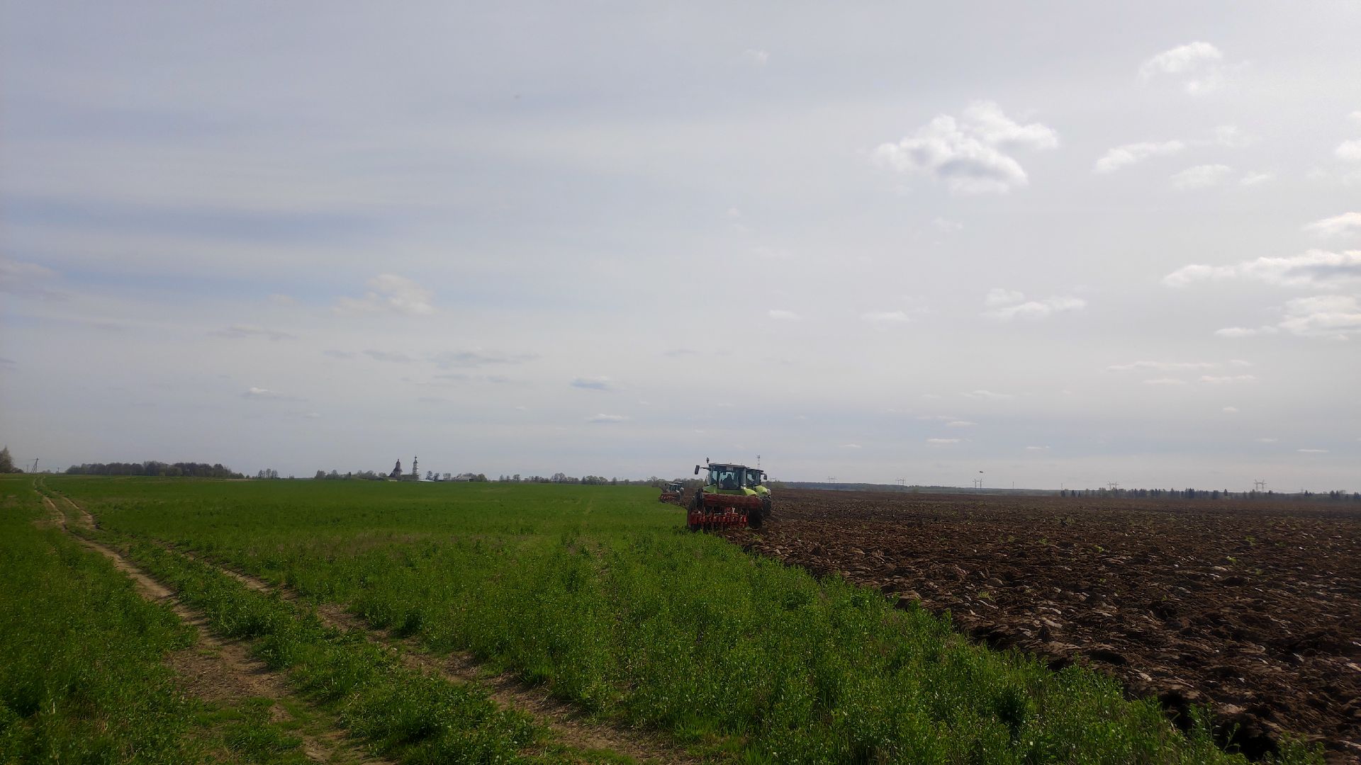 волоколамск, сельское хозяйство, молочный комплекс, животноводство, рапс, кукуруза, пшеница, рожь, молоко,
