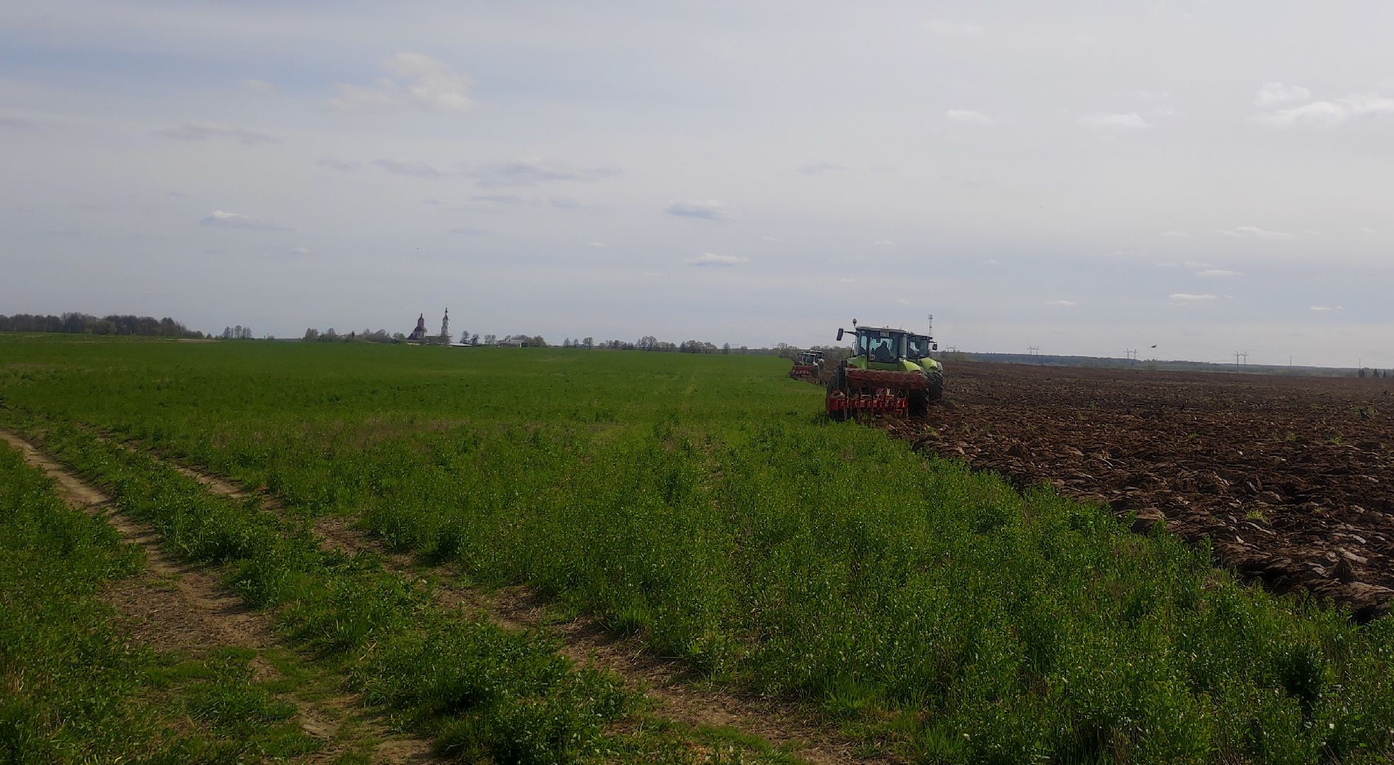 волоколамск, сельское хозяйство, молочный комплекс, животноводство, рапс, кукуруза, пшеница, рожь, молоко,