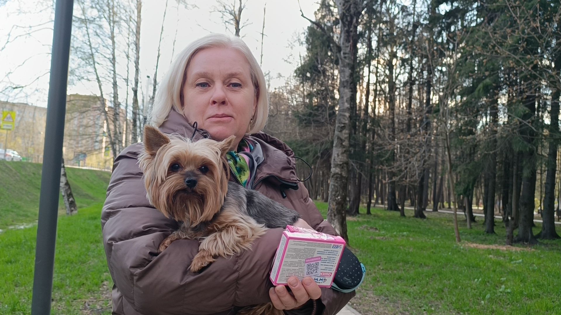 собака, клещи, парк, акция,