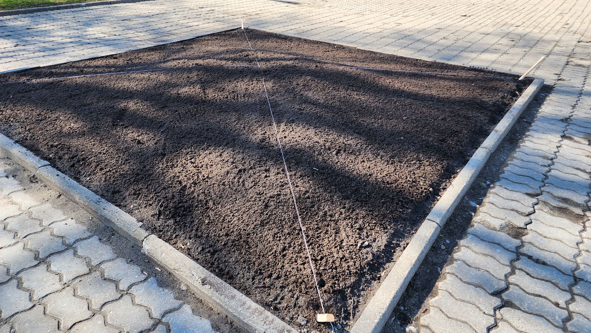 Егорьевск, Цветы, Благоустройство, Подмосковье, московская область,