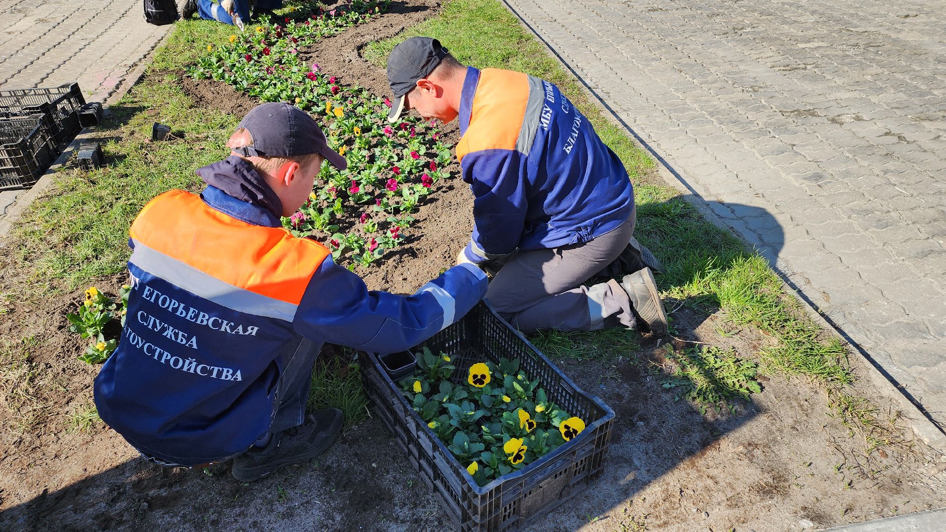 Егорьевск, Цветы, Благоустройство, Подмосковье, московская область,