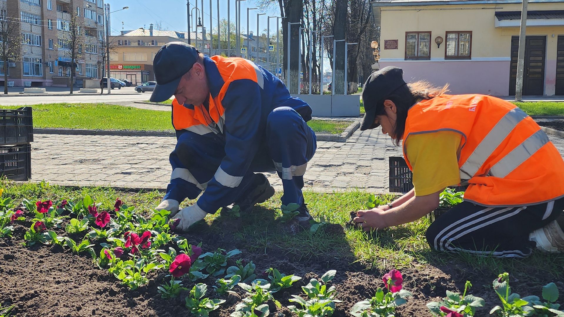 Егорьевск, Цветы, Благоустройство, Подмосковье, московская область,