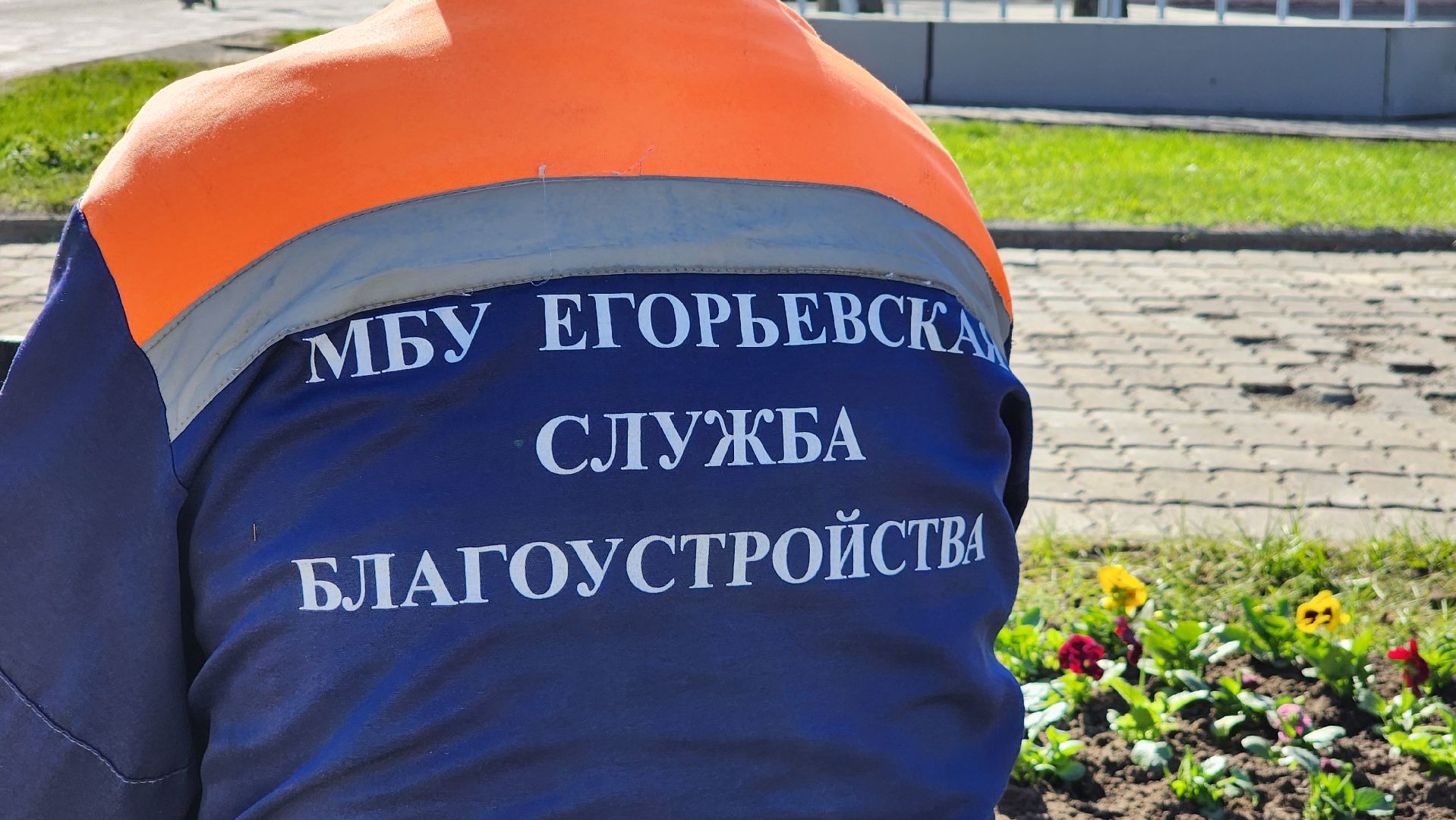 Егорьевск, Цветы, Благоустройство, Подмосковье, московская область,