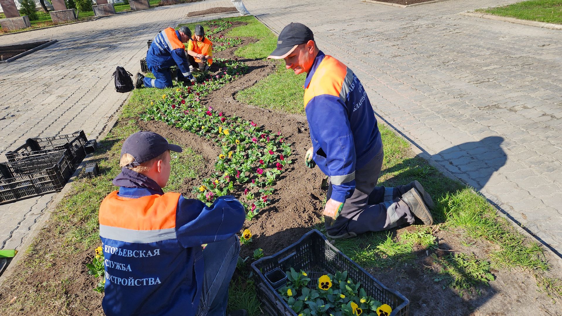 Егорьевск, Цветы, Благоустройство, Подмосковье, московская область,