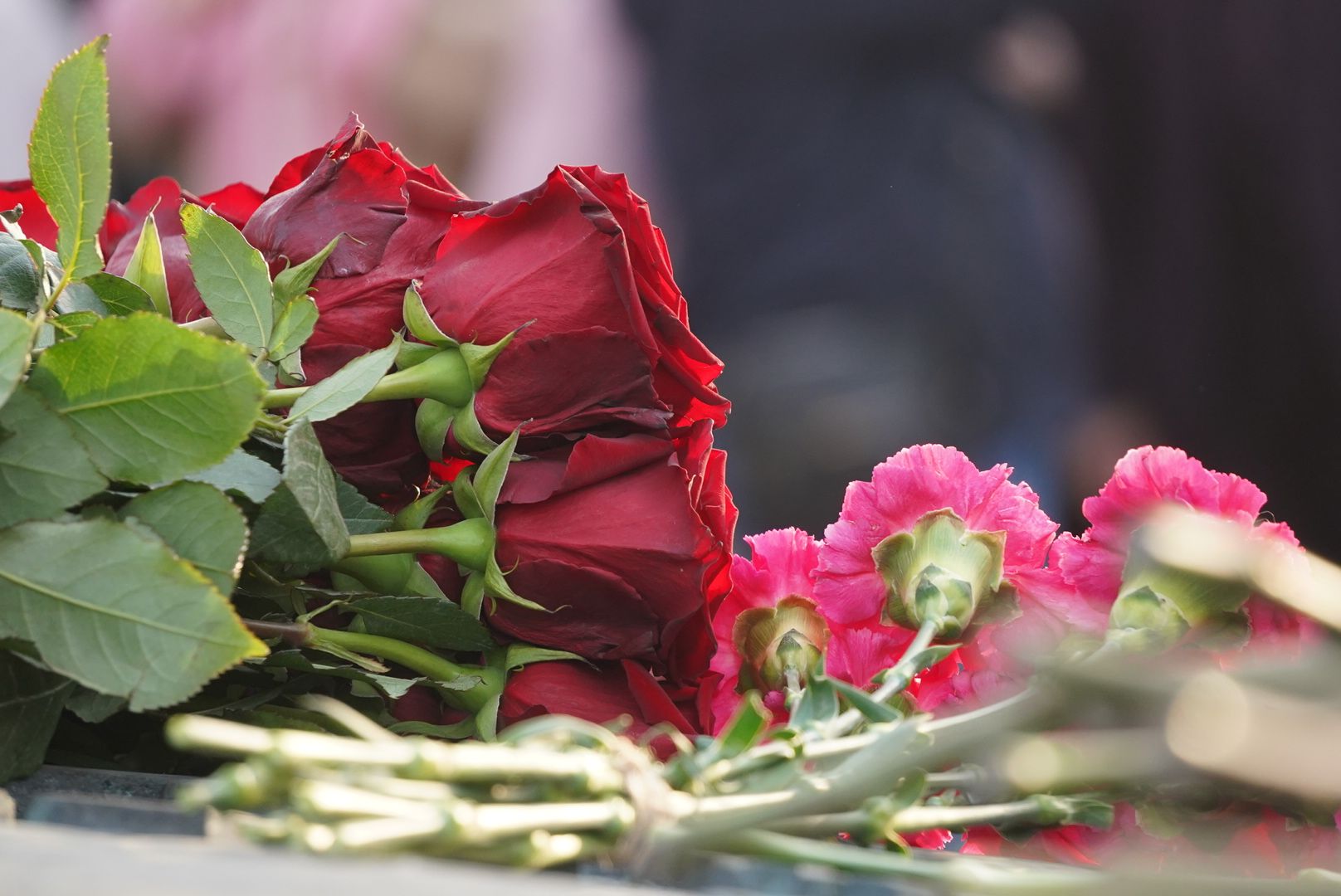 Павловский Посад, городской округ павловский посад, Тихонов, 17 мгновений, фестиваль, митинг,