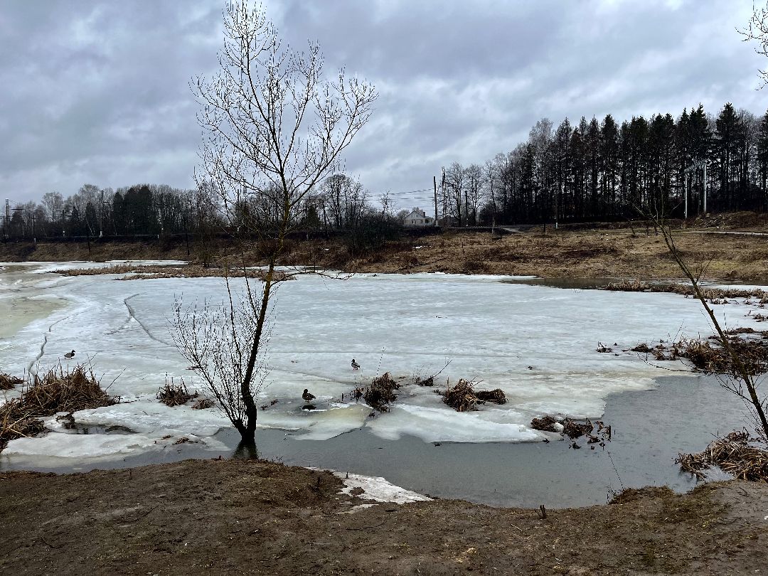 Наро-Фоминск, Наро-Фоминский городской округ, чистое Подмосковье, экология