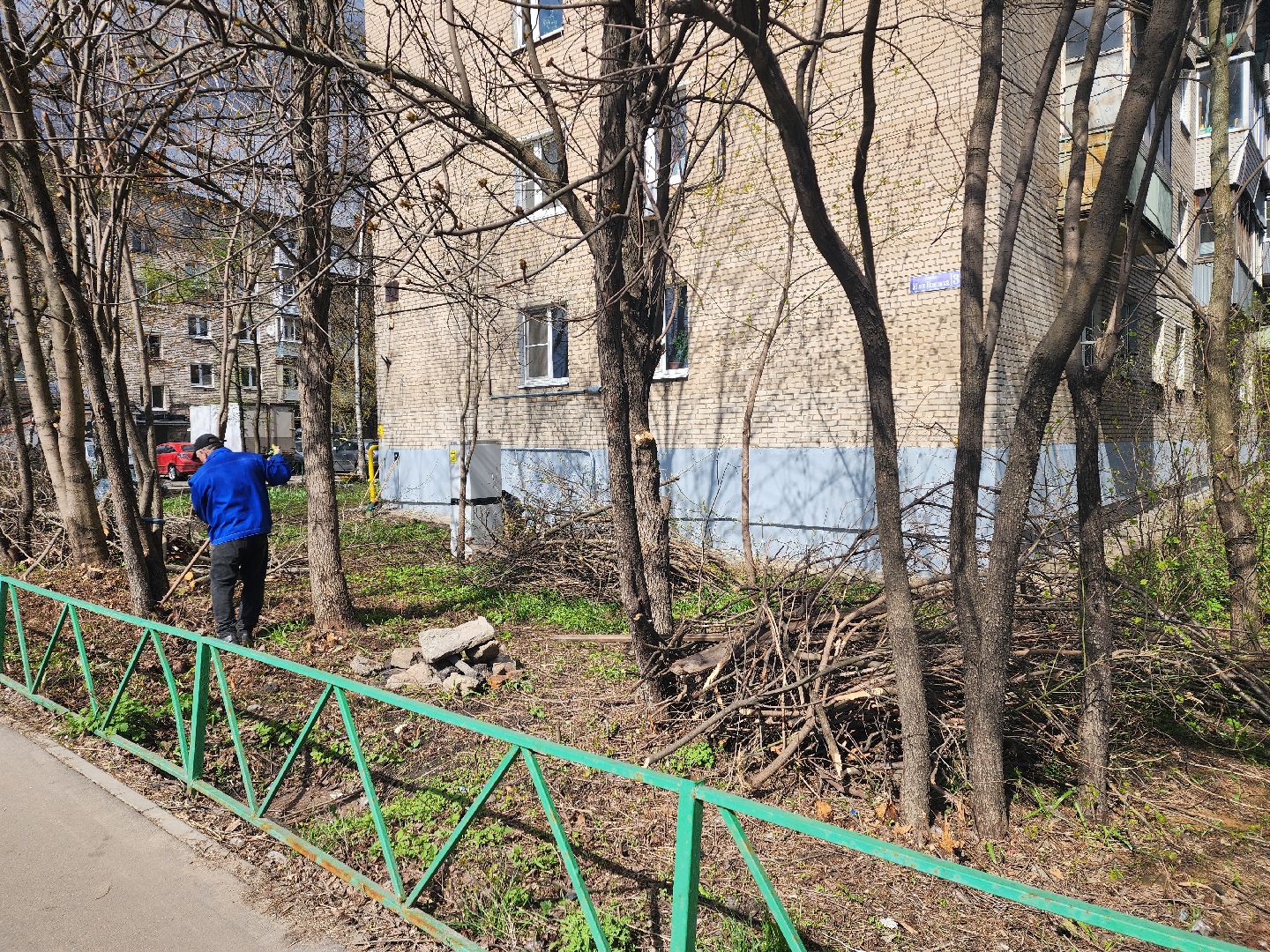 пушкино, субботник, благоустройство, уборка дворов, деревья,