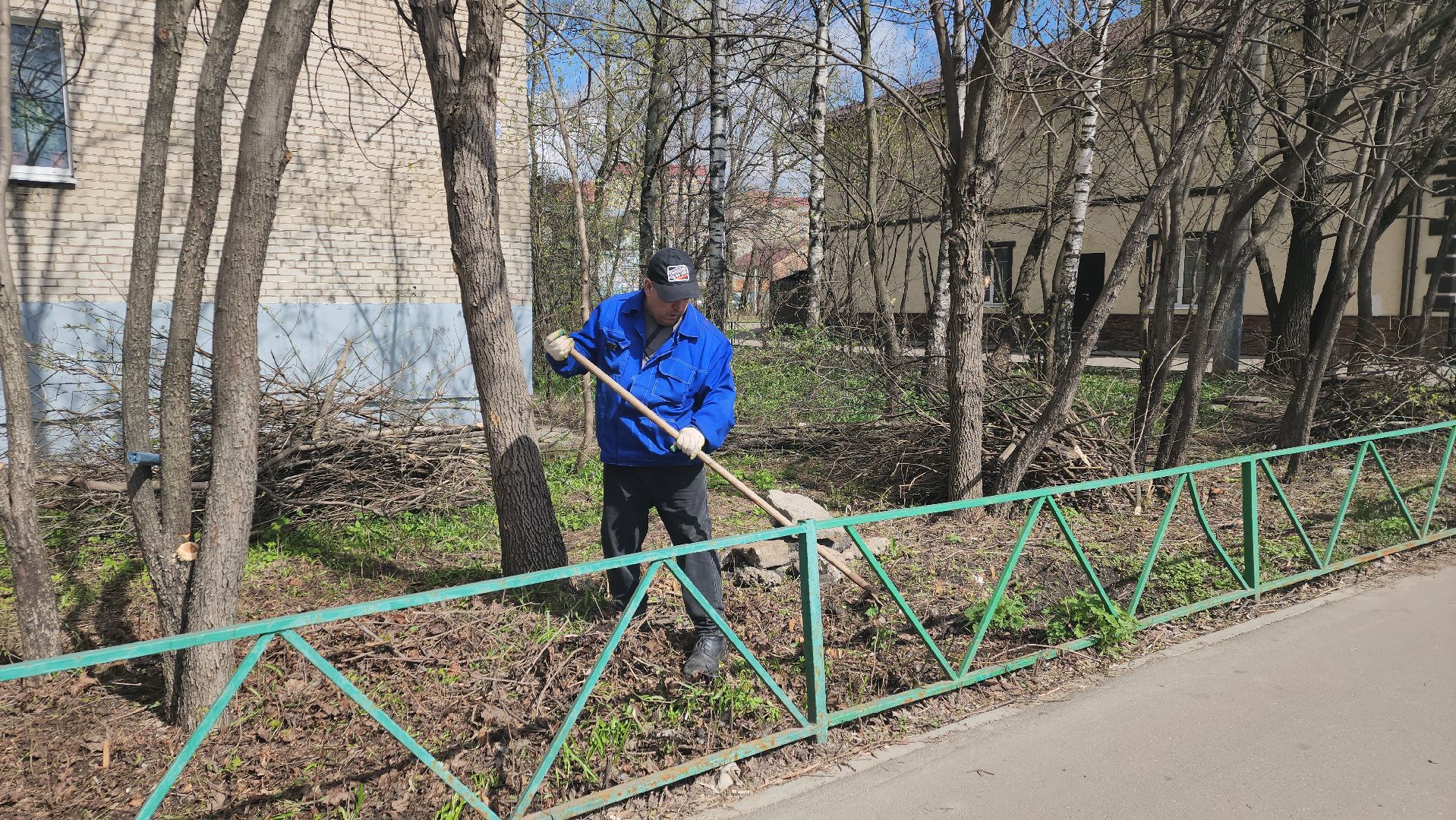 пушкино, субботник, благоустройство, уборка дворов, деревья,