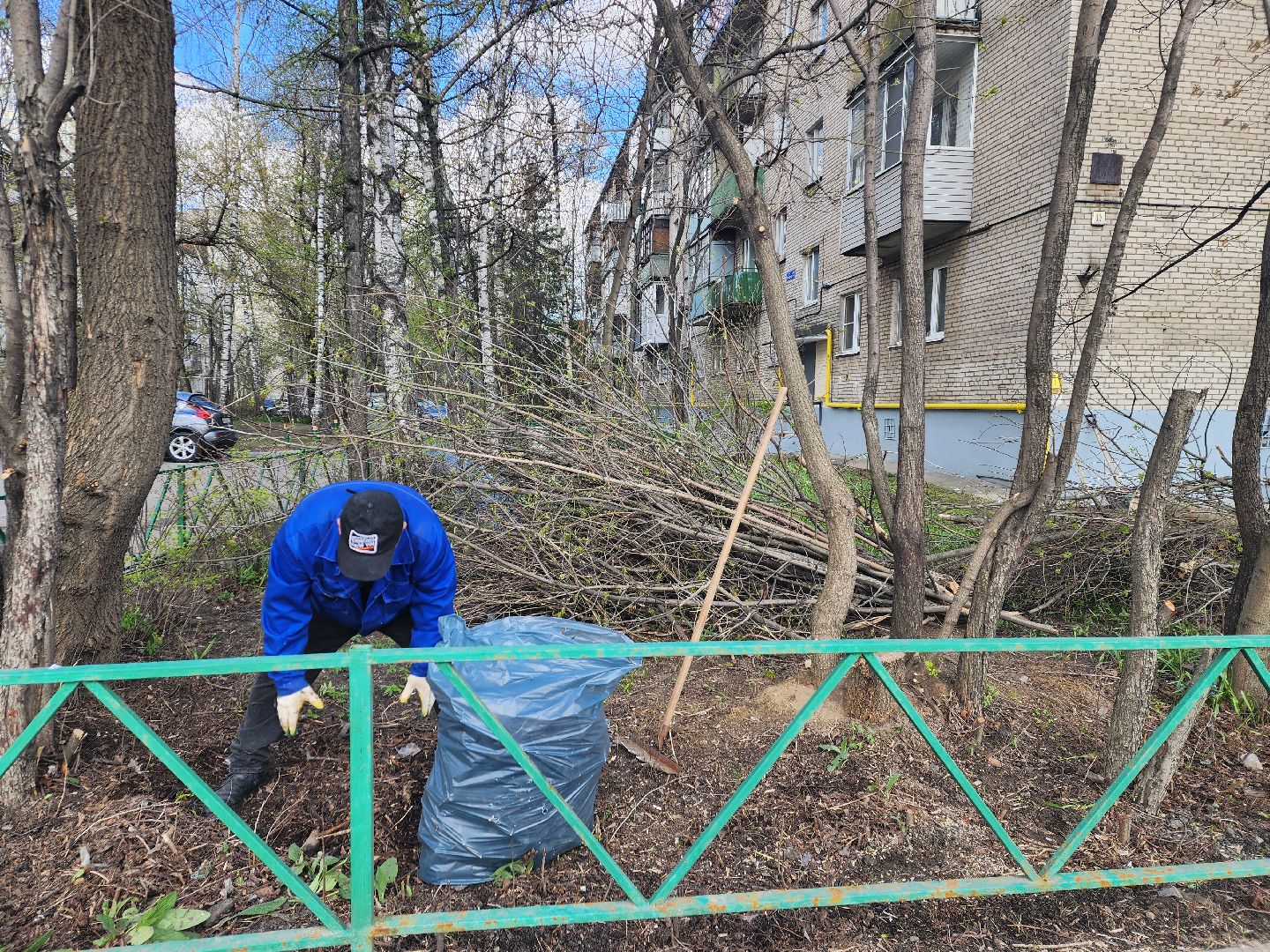пушкино, субботник, благоустройство, уборка дворов, деревья,