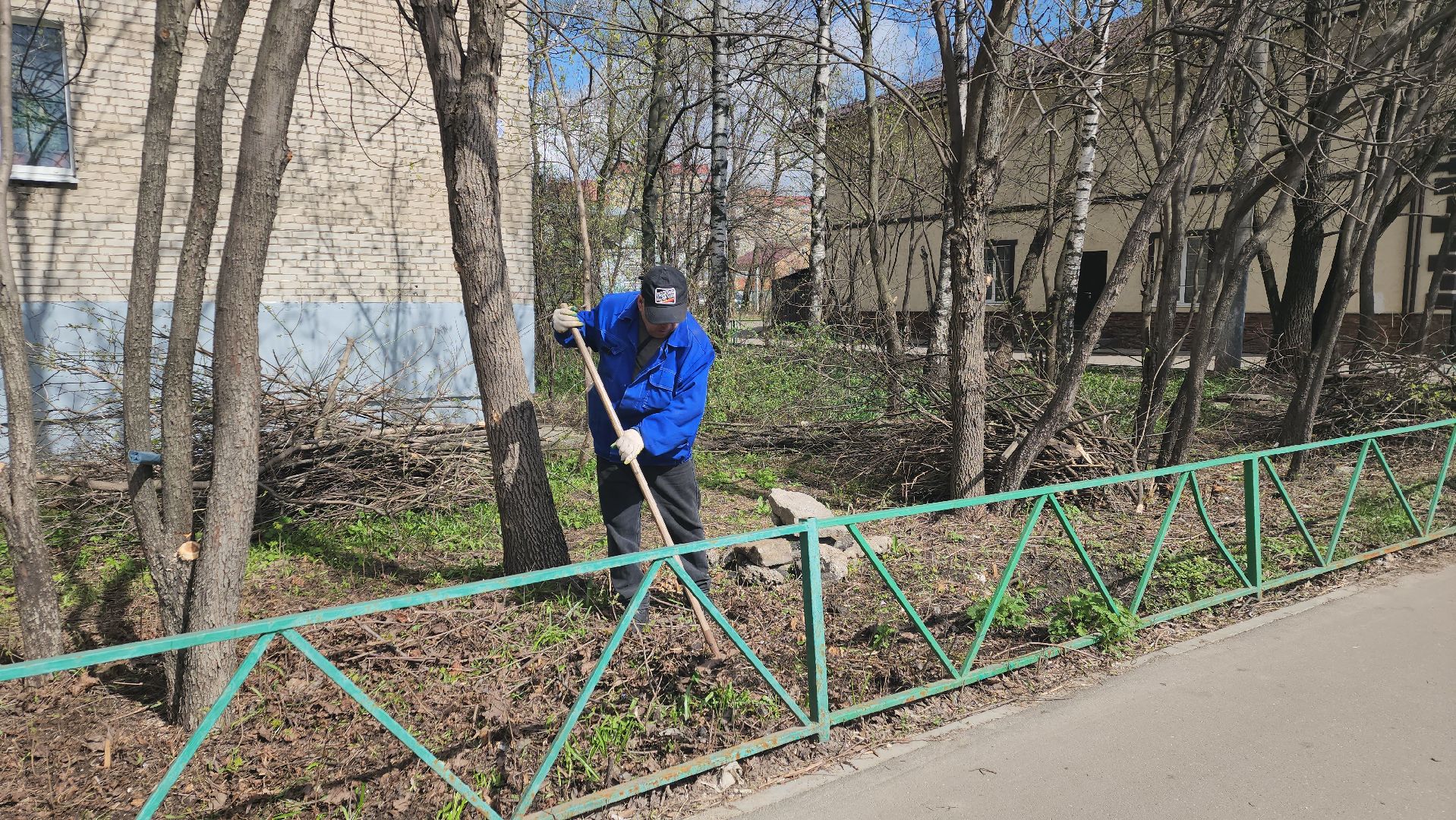 пушкино, субботник, благоустройство, уборка дворов, деревья,