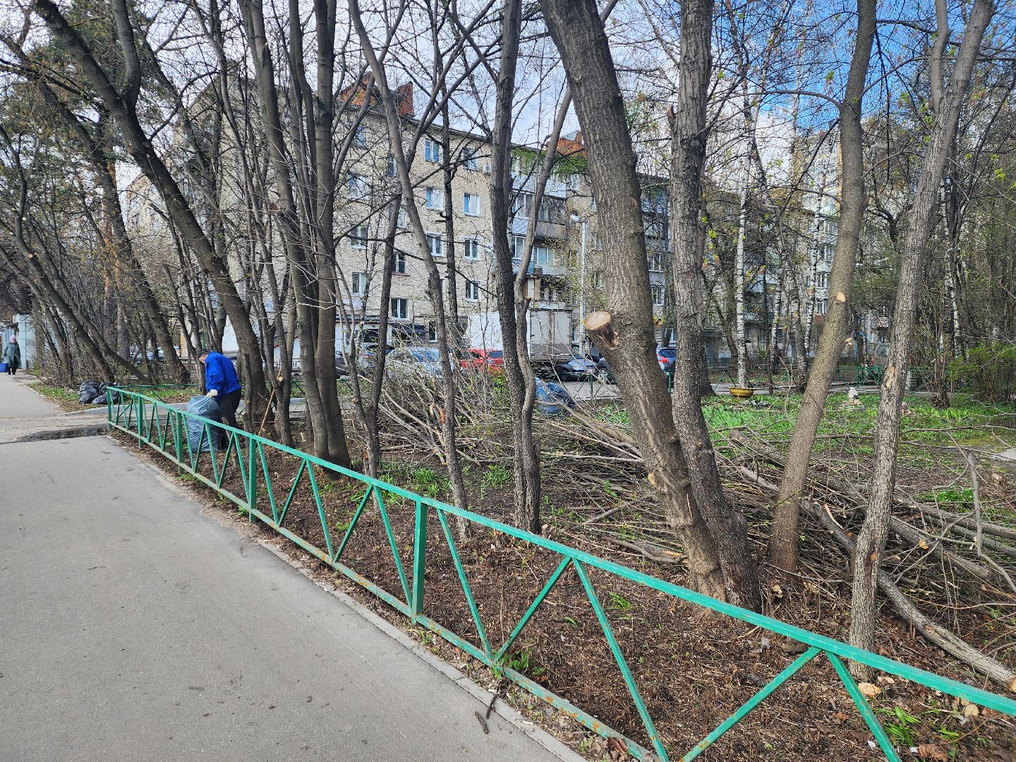 пушкино, субботник, благоустройство, уборка дворов, деревья,