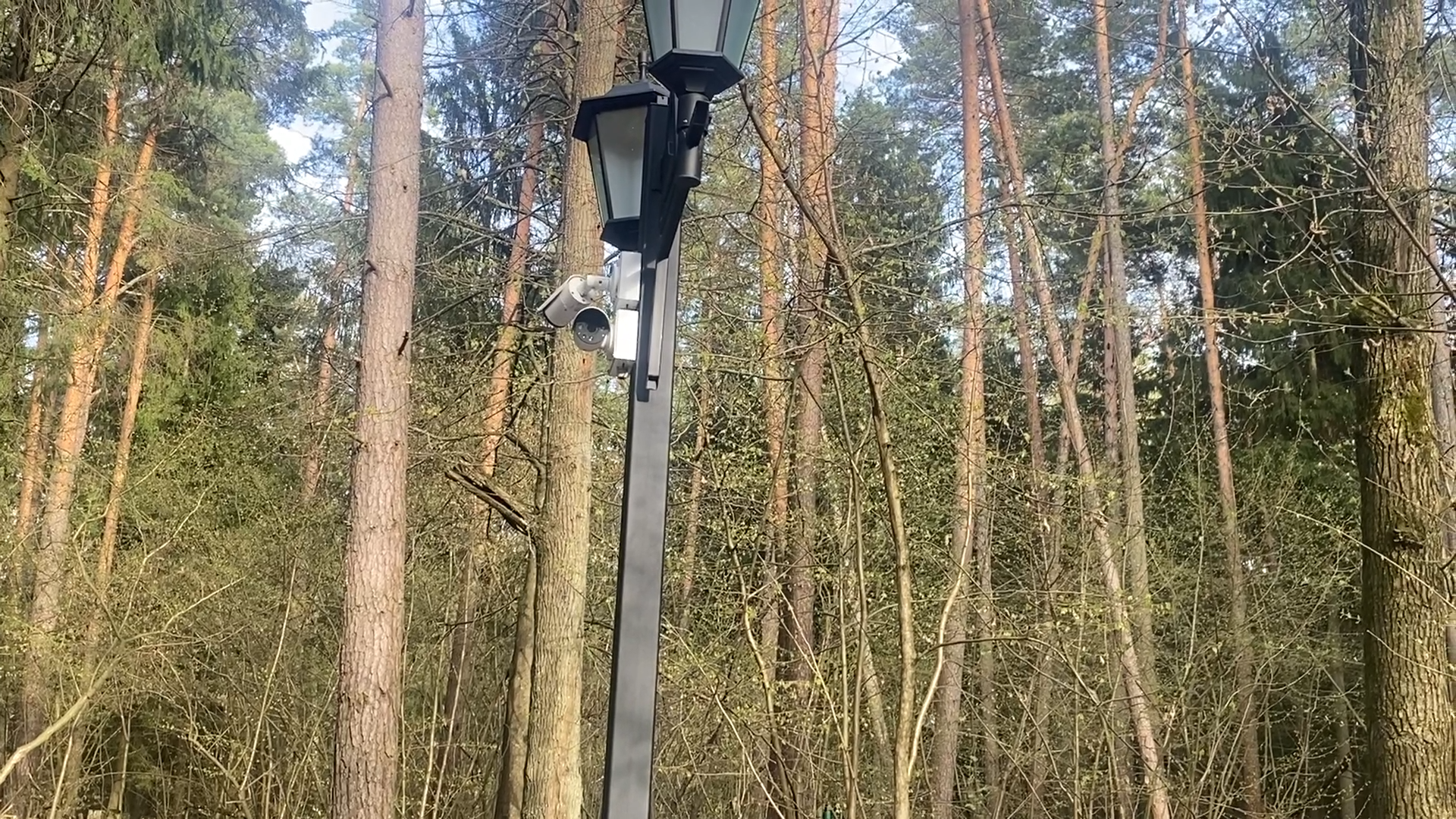 противопожарный сезон, пикник на природе, благоустроенная зона, территория для пикника, зона отдыха во Власихе,