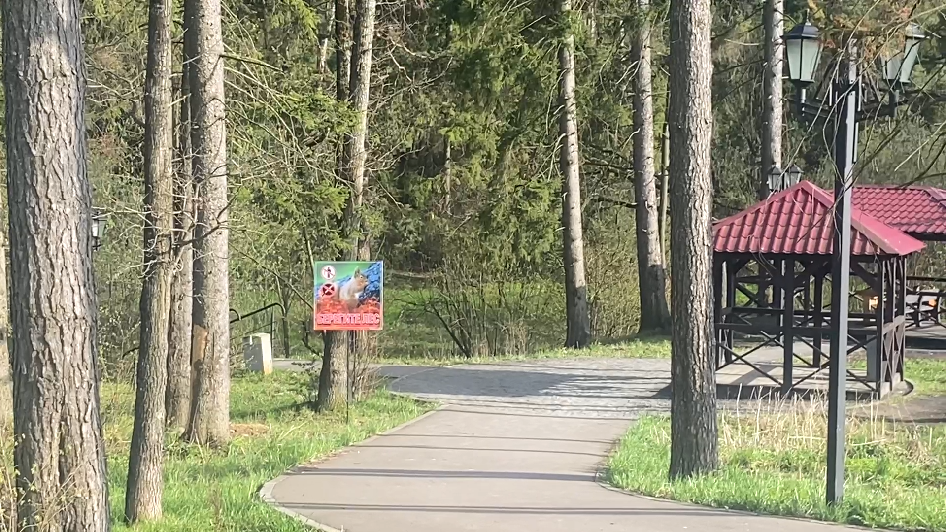 противопожарный сезон, пикник на природе, благоустроенная зона, территория для пикника, зона отдыха во Власихе,