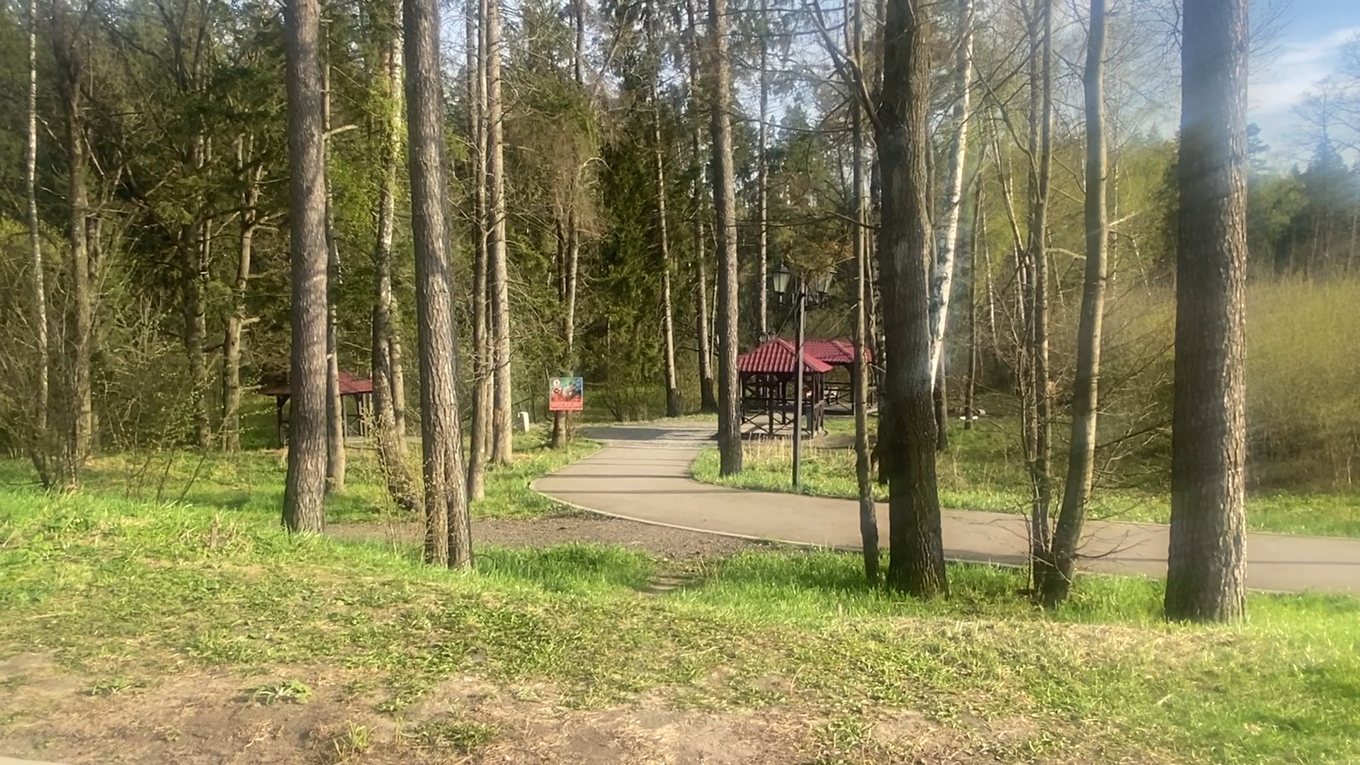 противопожарный сезон, пикник на природе, благоустроенная зона, территория для пикника, зона отдыха во Власихе,