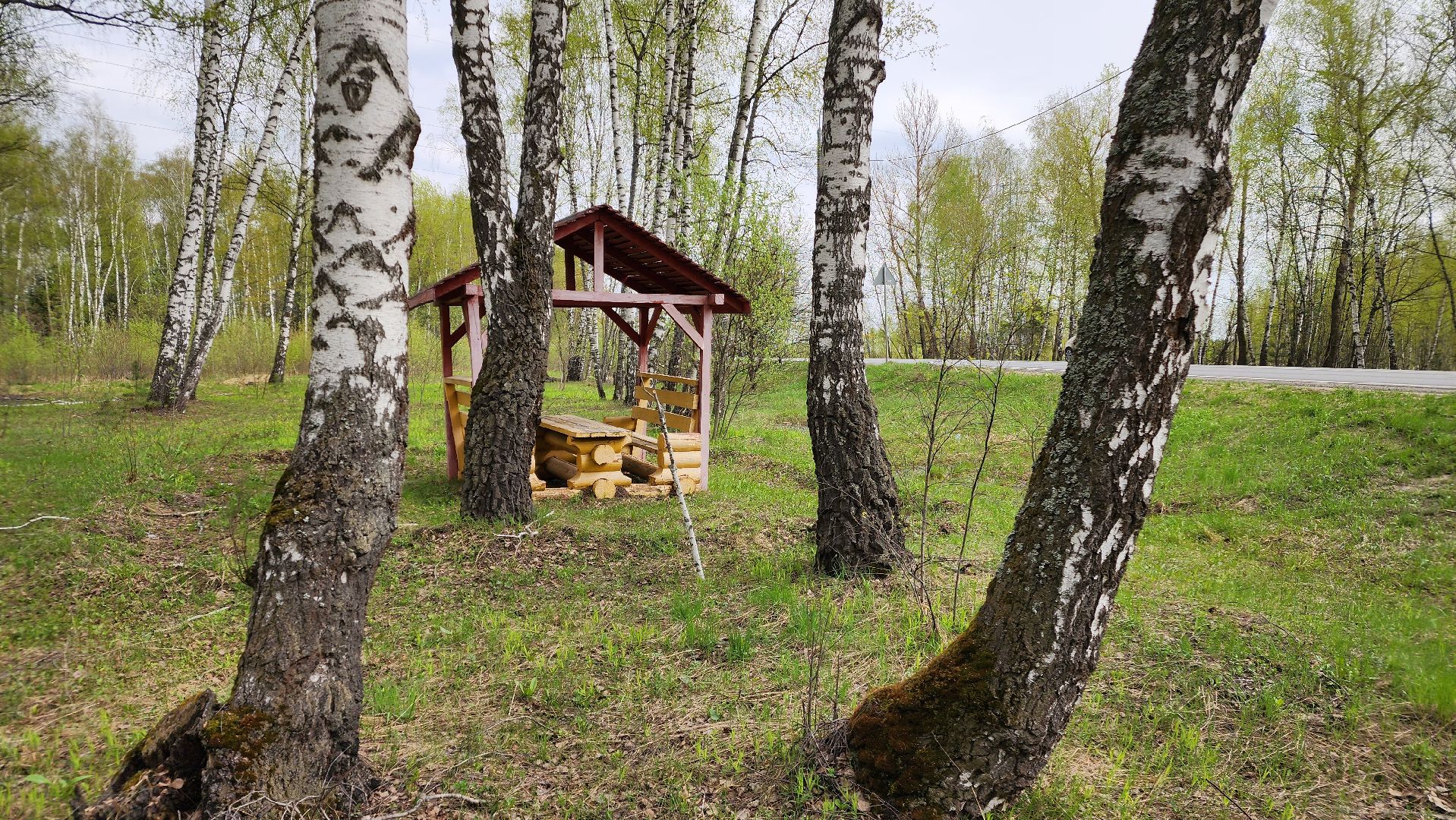 ступино, отдых в подмосковье, природа подмосковья,