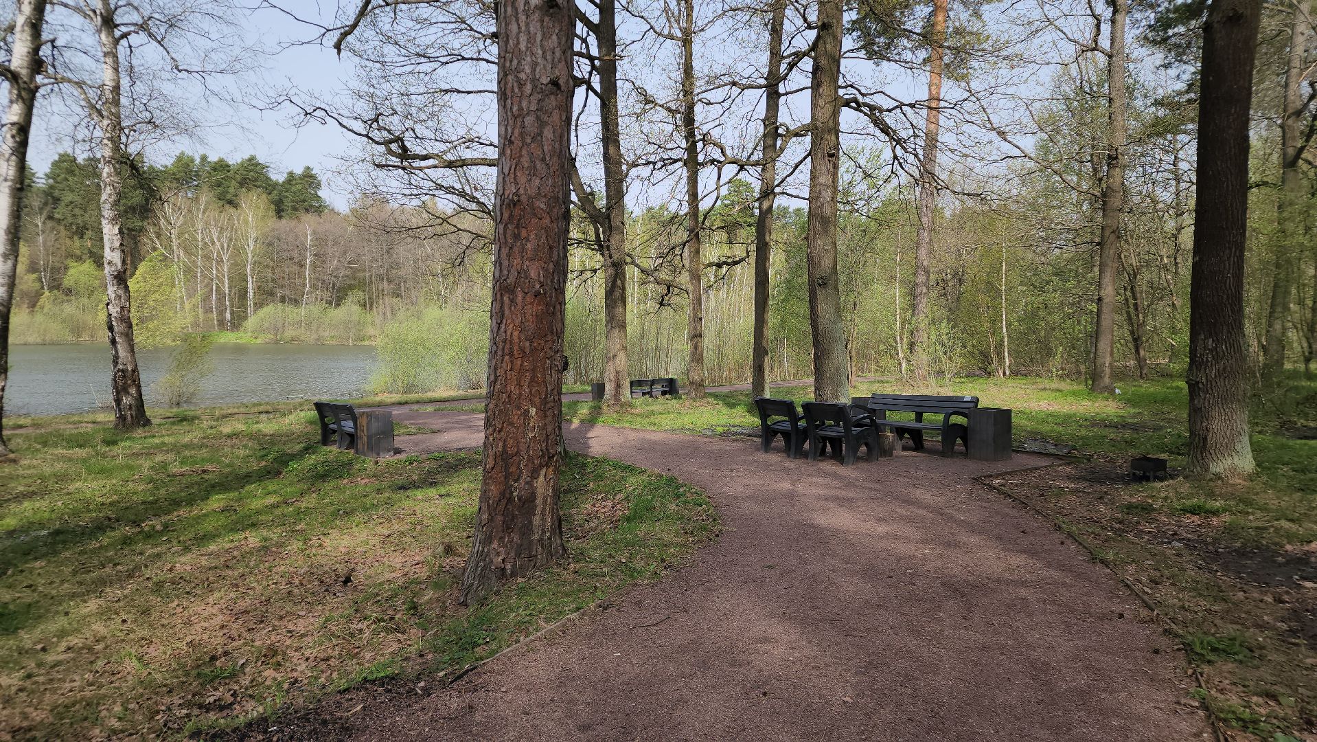 ступино, отдых в подмосковье, природа подмосковья,