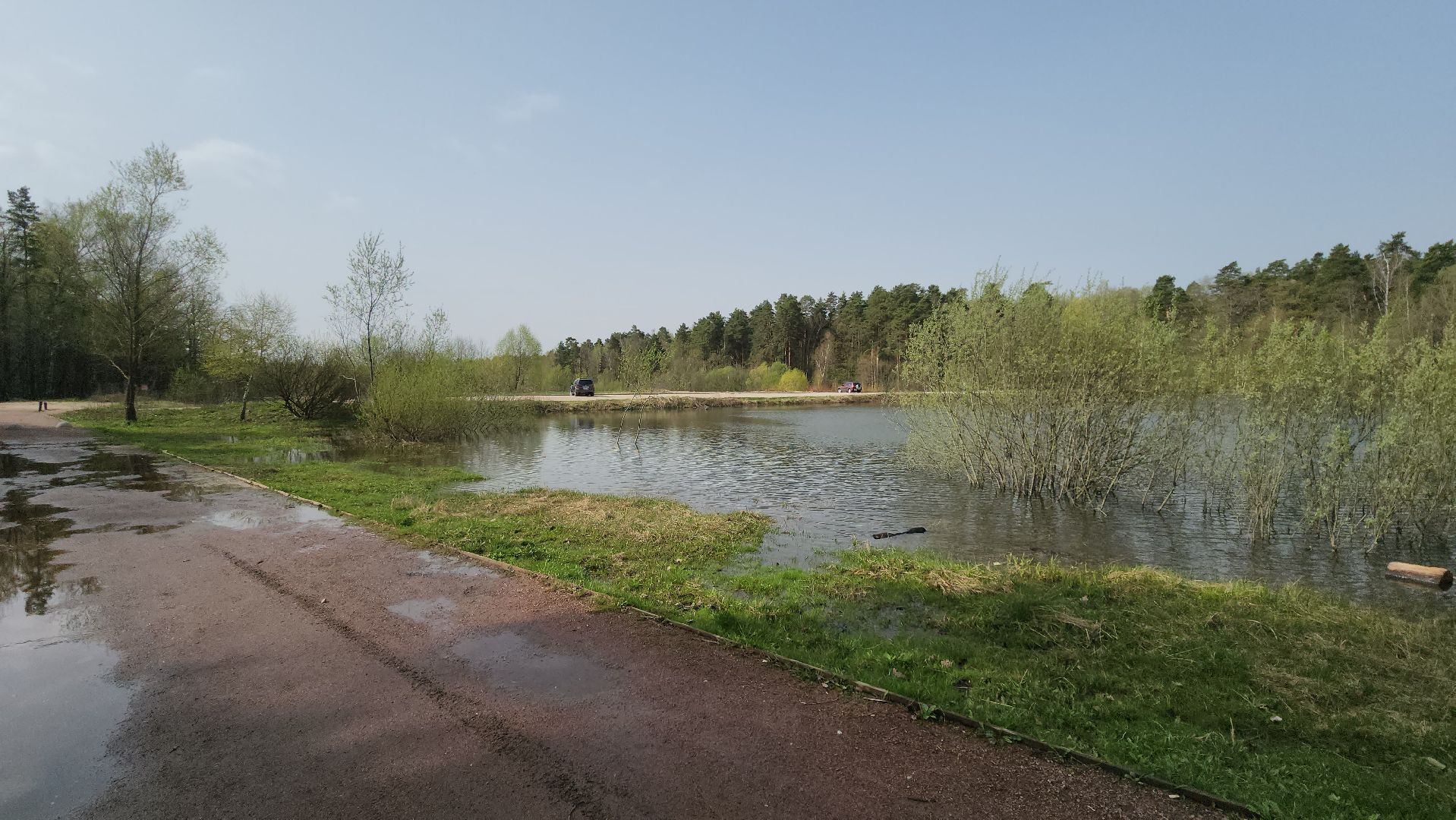 ступино, отдых в подмосковье, природа подмосковья,