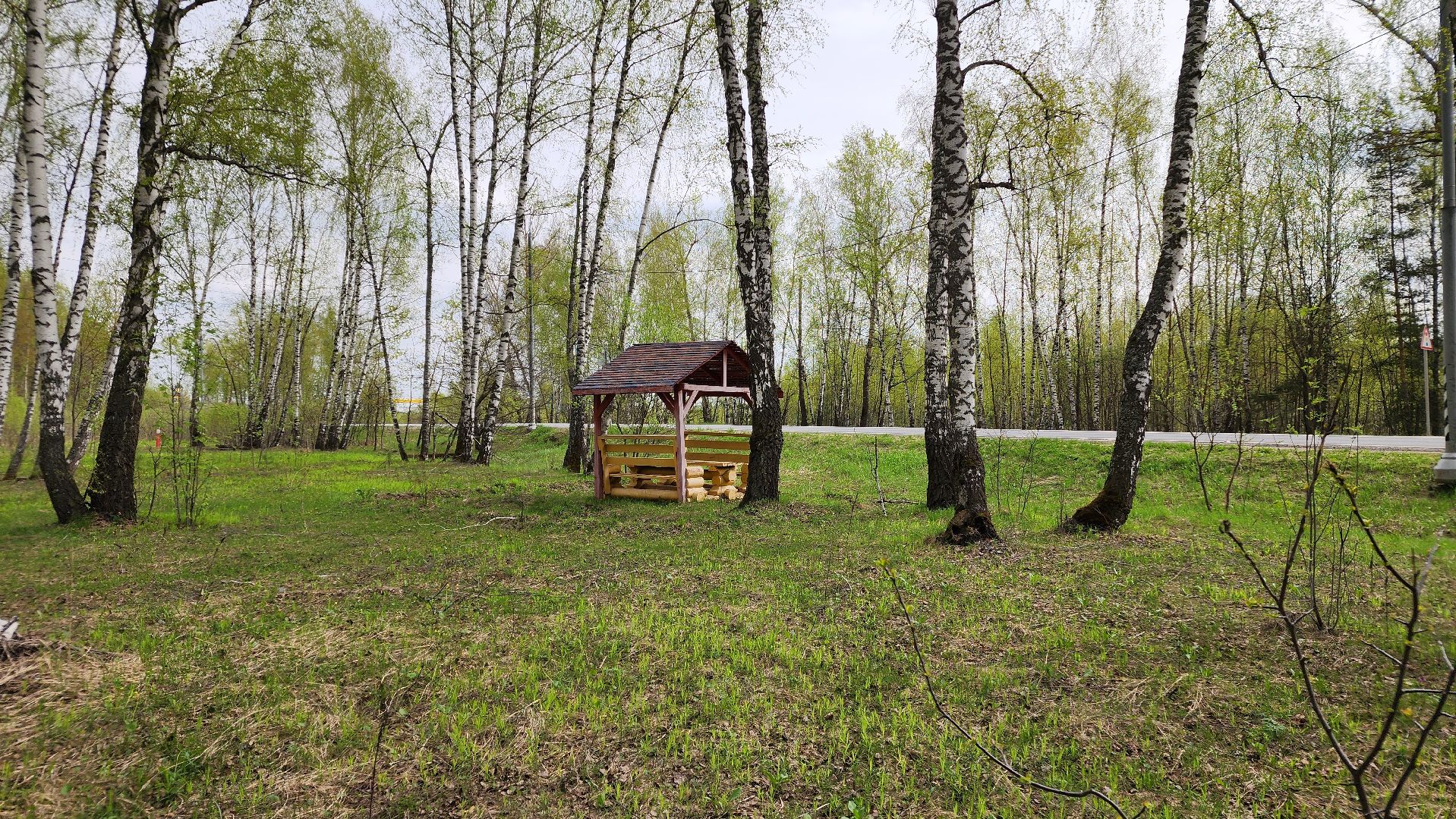 ступино, отдых в подмосковье, природа подмосковья,