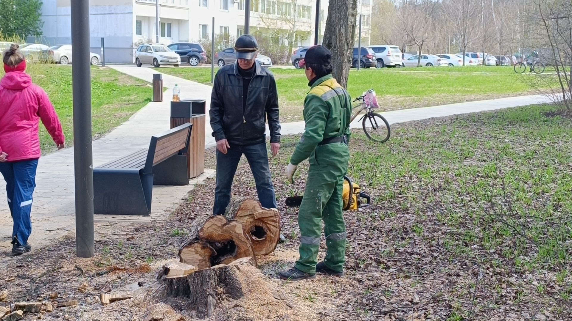 дерево, парк, лобня,
