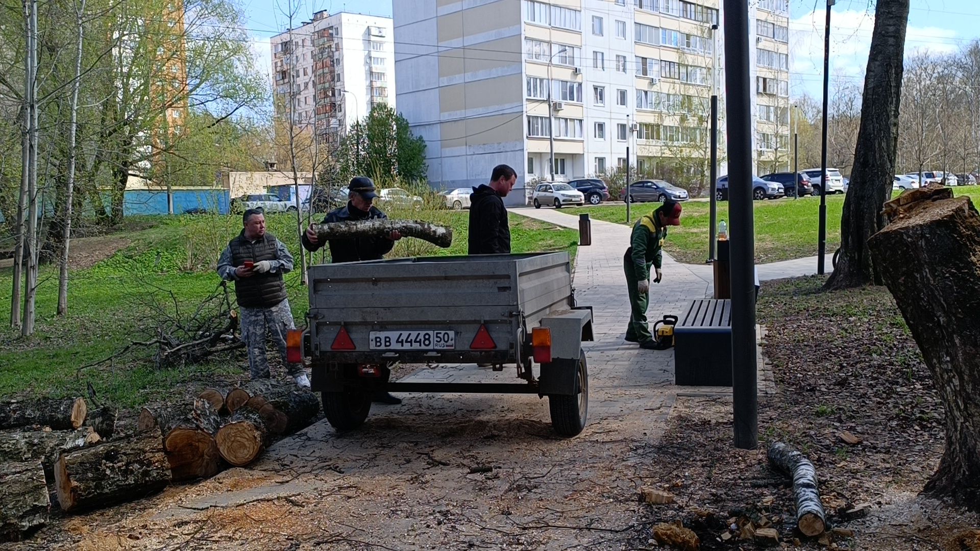 дерево, парк, лобня,
