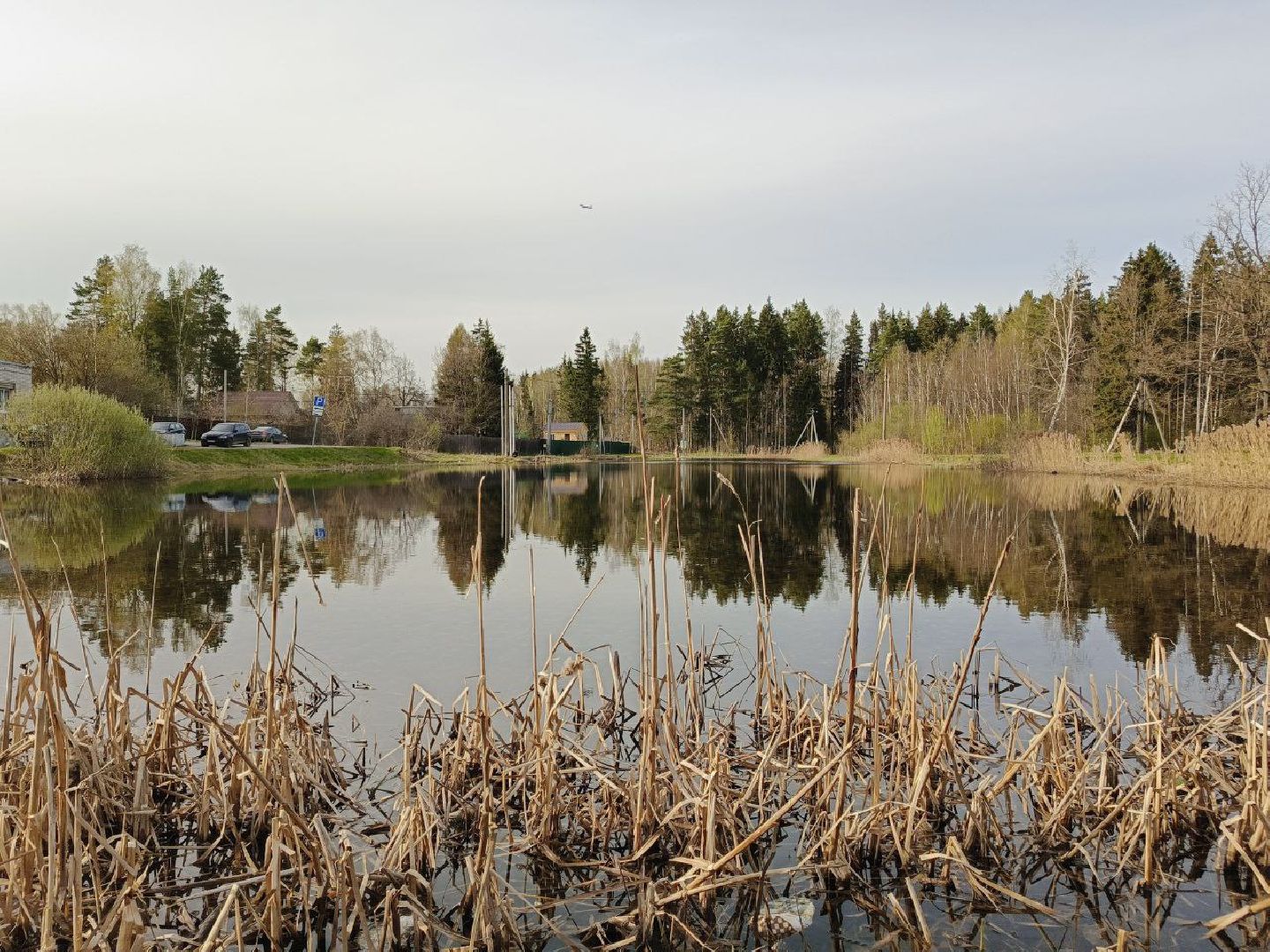 солнечногорск, благоустройсво, пруд, Очистка пруда, Жители,