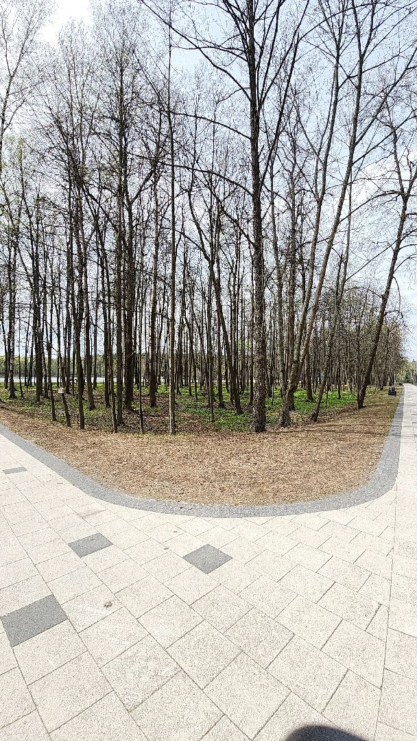 электросталь, мой город, жители города, безопасность, пожарная безопасность, пикник, пикниковые зоны, майские праздники,