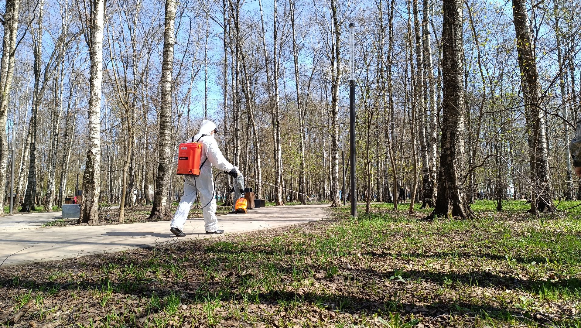 клещи, парк, дезинсекция, лобня,