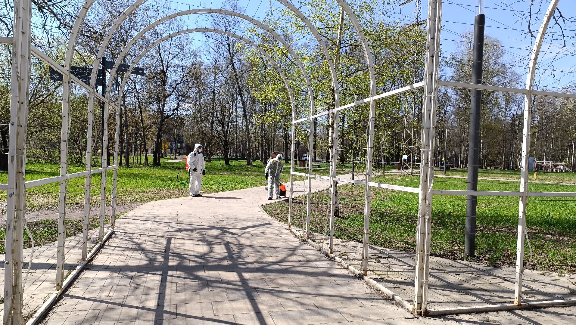 клещи, парк, дезинсекция, лобня,