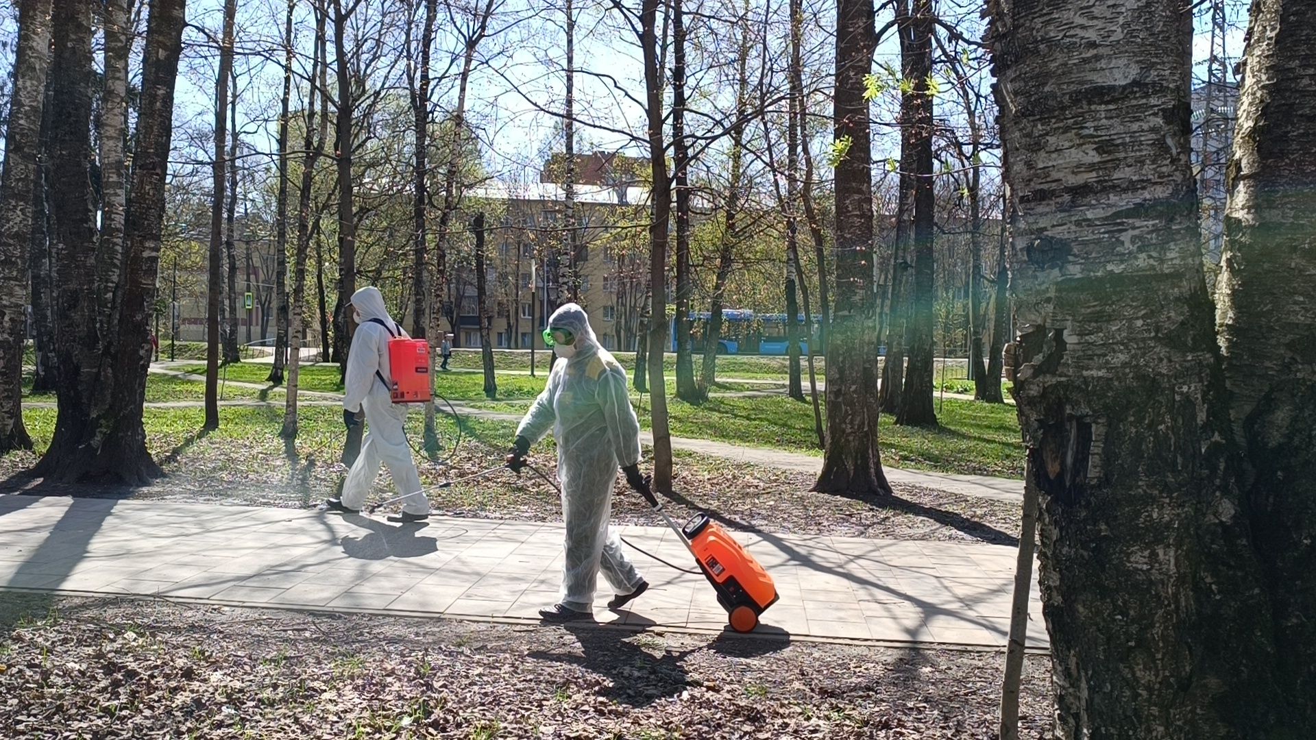 клещи, парк, дезинсекция, лобня,