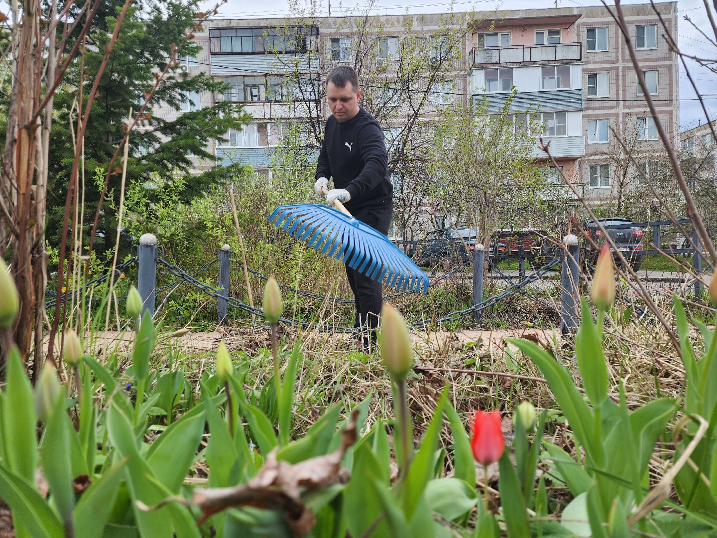 серпухов, подмосковье, субботник, день добрых дел,