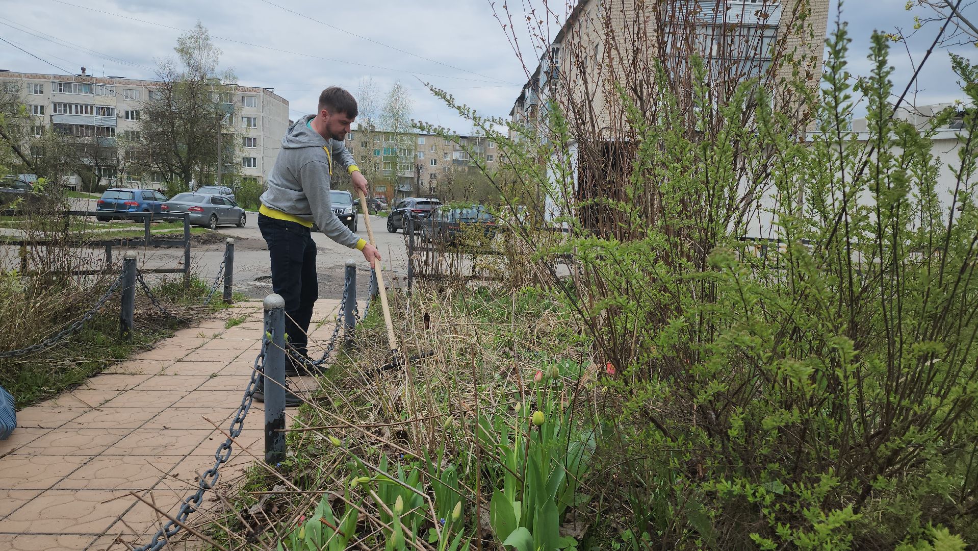 серпухов, подмосковье, субботник, день добрых дел,