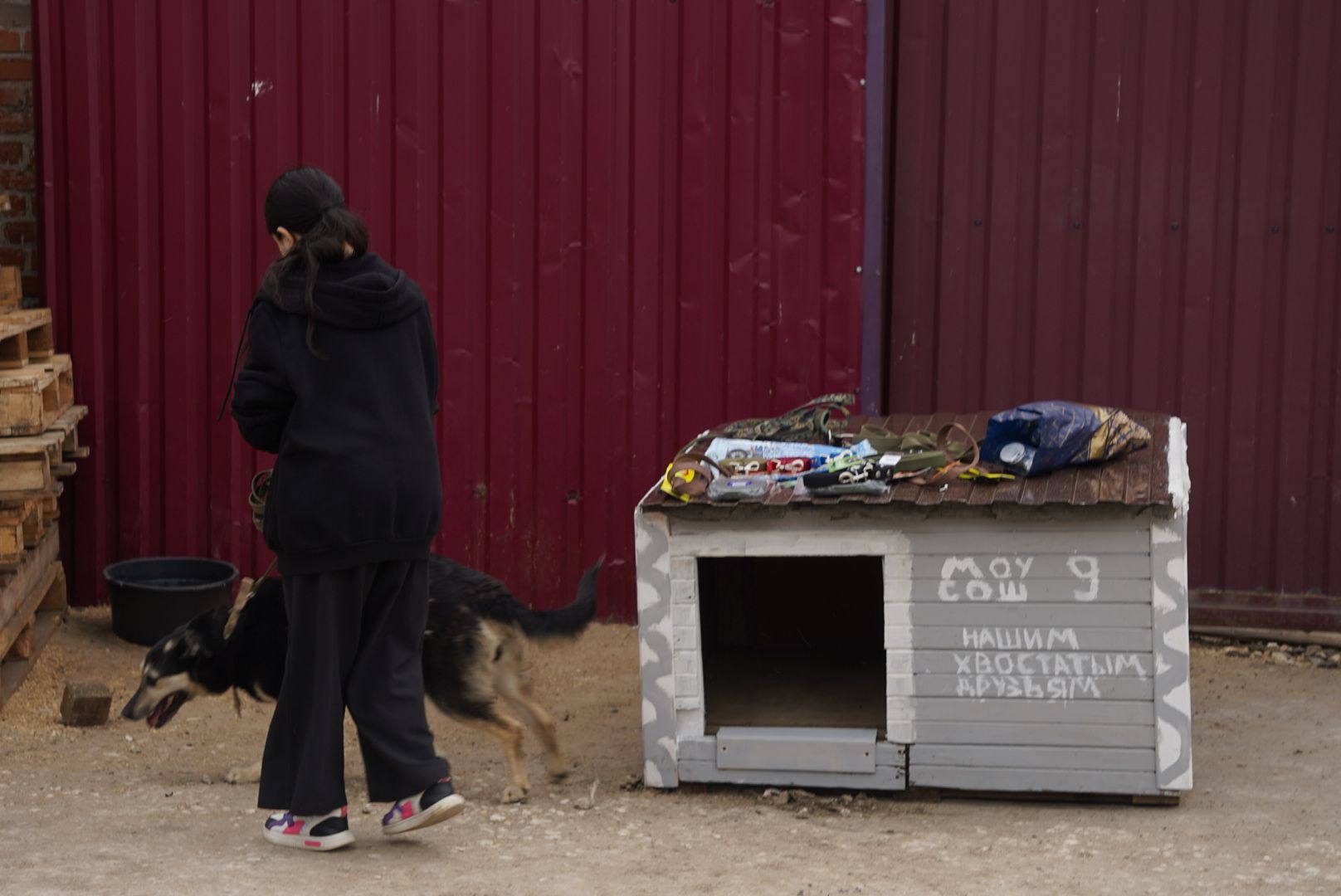 Павловский Посад, Городской округ Павловский Посад, молодежный парламент, Животные, Активисты, Жители, Акция,