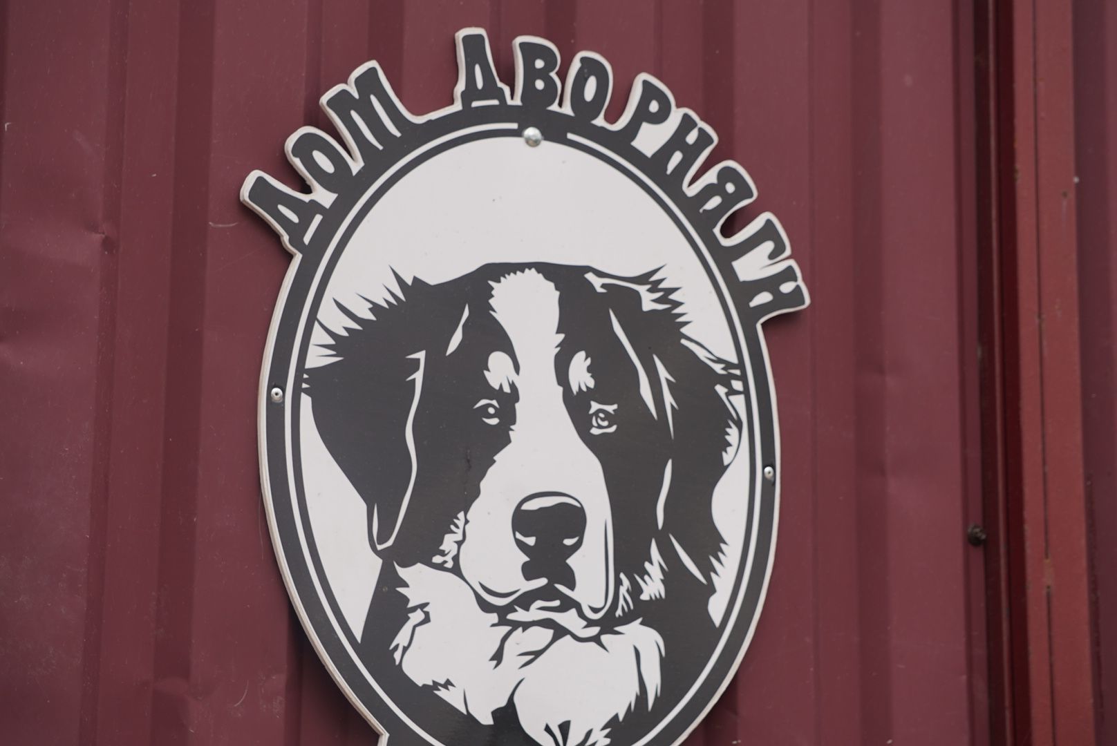 Павловский Посад, Городской округ Павловский Посад, молодежный парламент, Животные, Активисты, Жители, Акция,