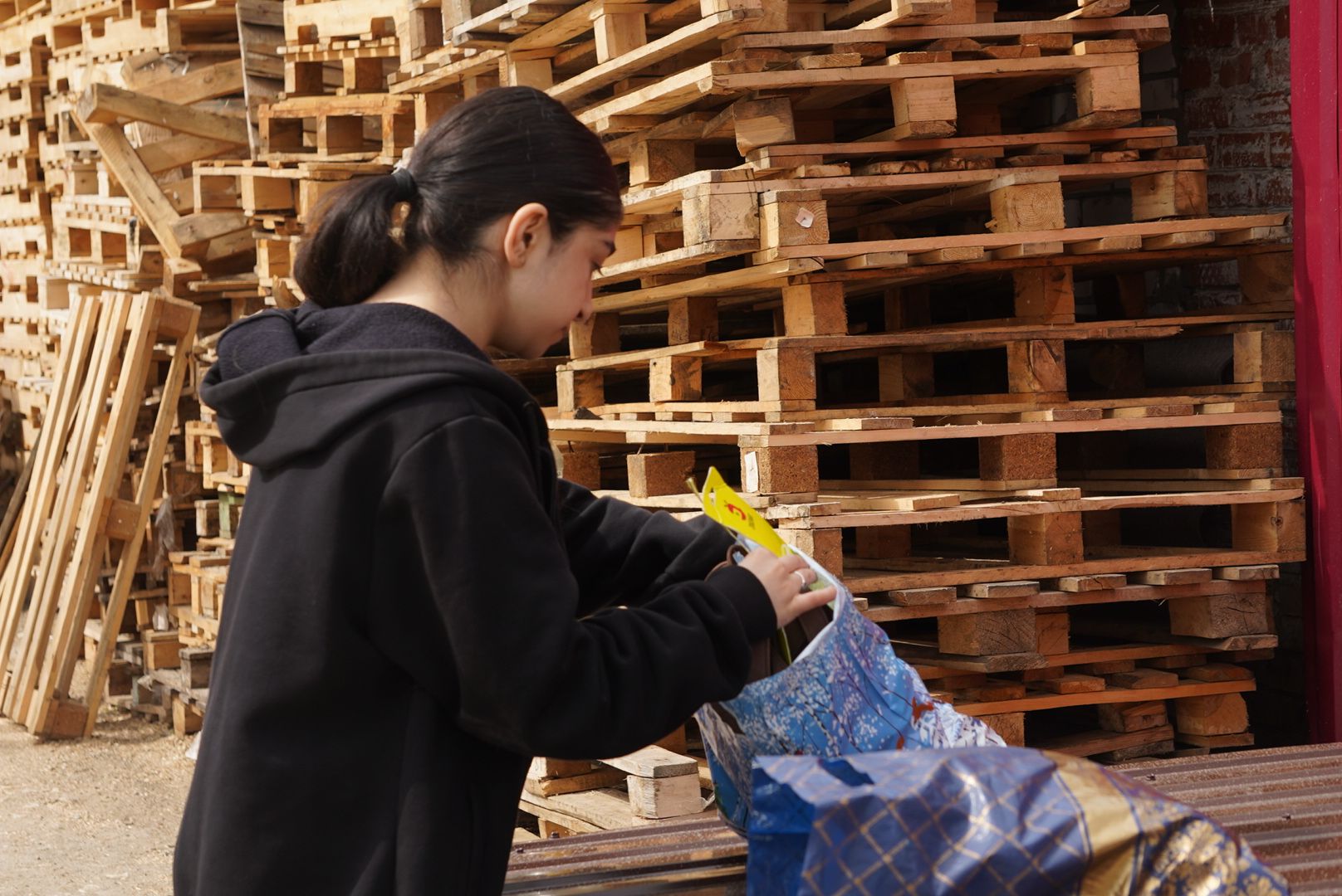 Павловский Посад, Городской округ Павловский Посад, молодежный парламент, Животные, Активисты, Жители, Акция,