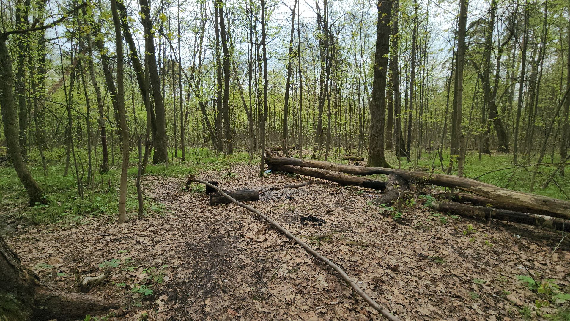 пожароопасный сезон, штрафы за разведение костров, экология подмосковья, отдых в подмосковье,