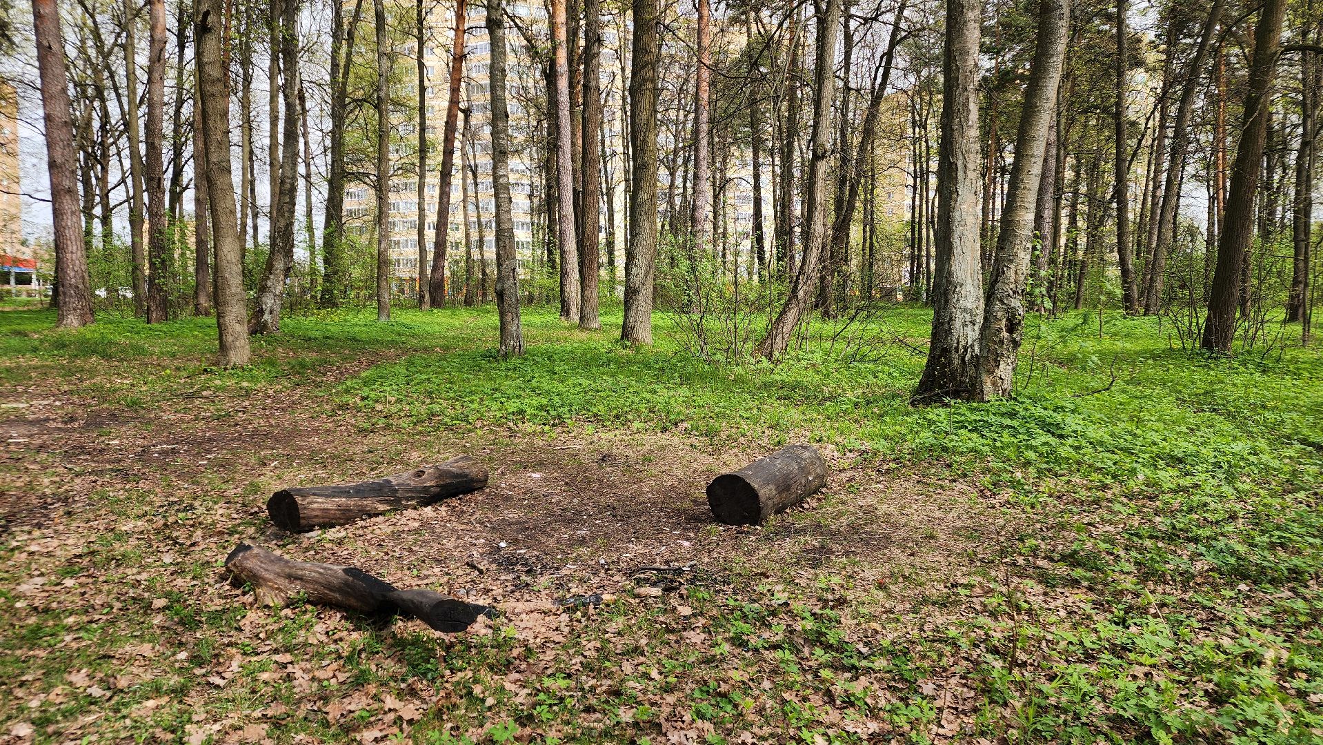 пожароопасный сезон, штрафы за разведение костров, экология подмосковья, отдых в подмосковье,