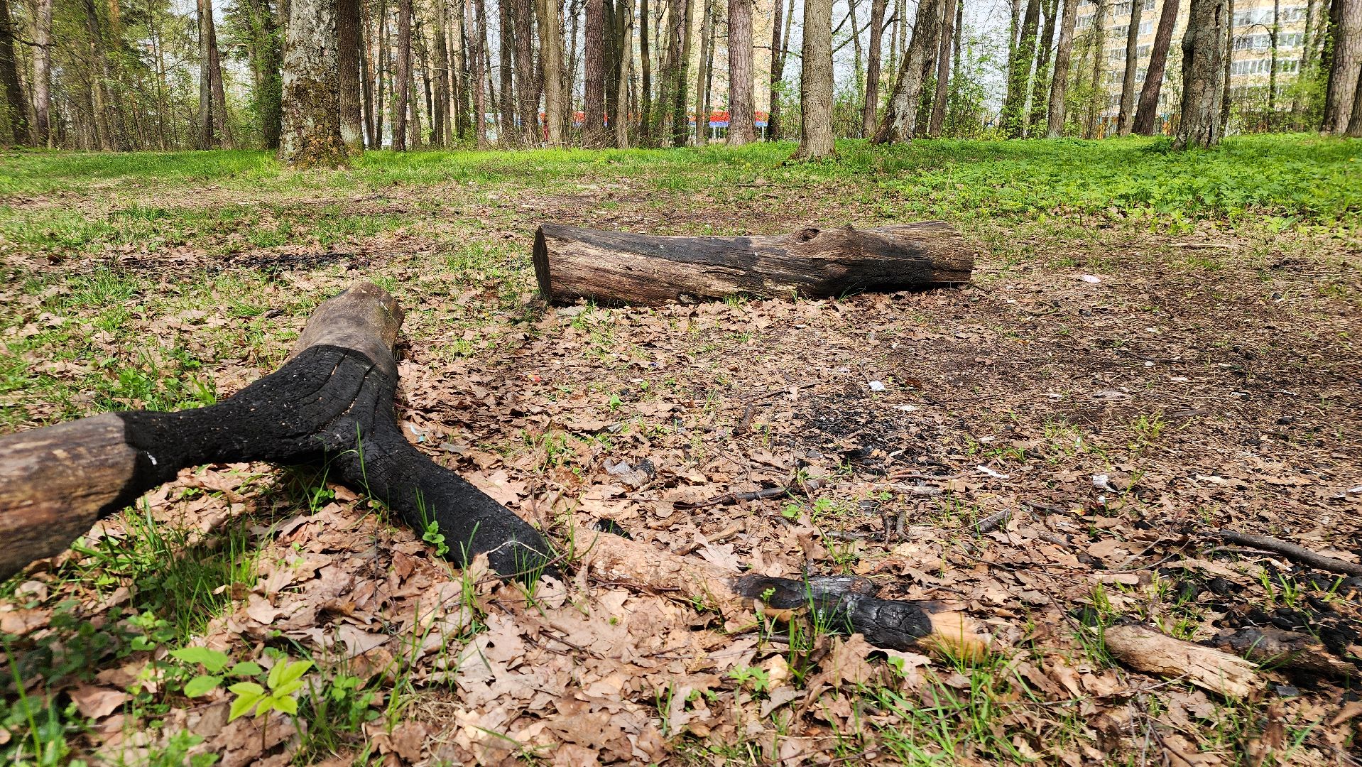 пожароопасный сезон, штрафы за разведение костров, экология подмосковья, отдых в подмосковье,