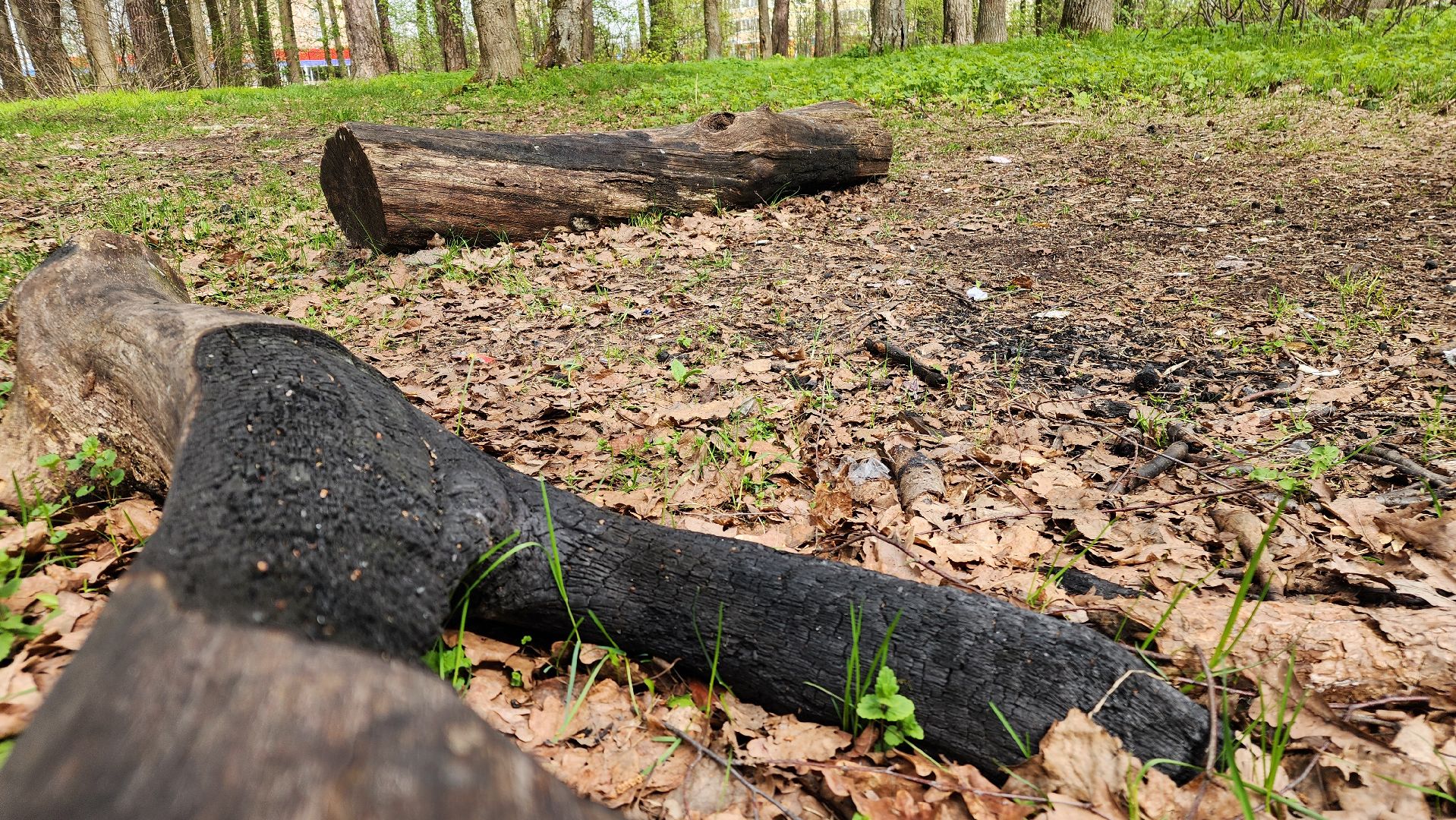 пожароопасный сезон, штрафы за разведение костров, экология подмосковья, отдых в подмосковье,