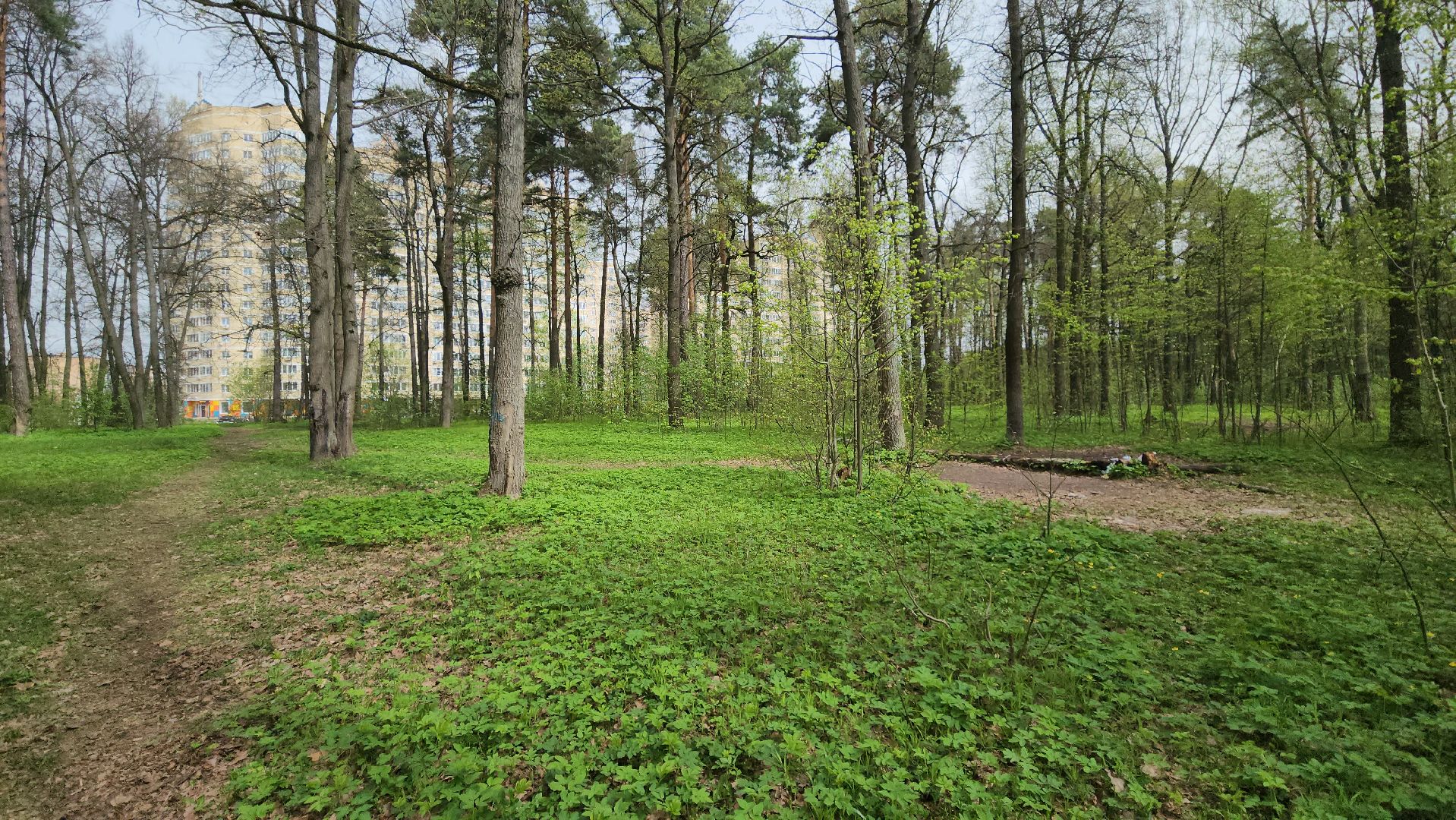 пожароопасный сезон, штрафы за разведение костров, экология подмосковья, отдых в подмосковье,